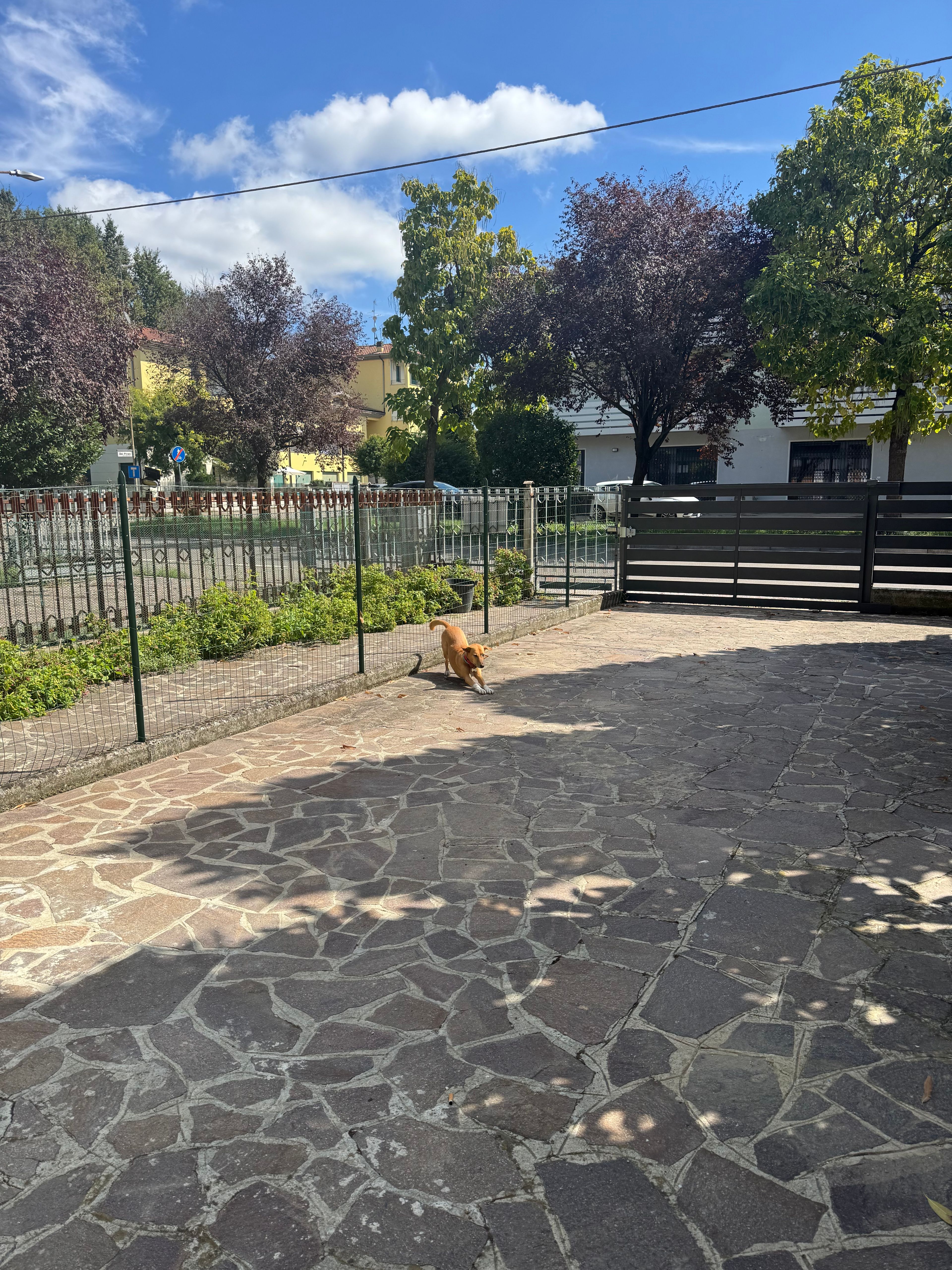 image-17