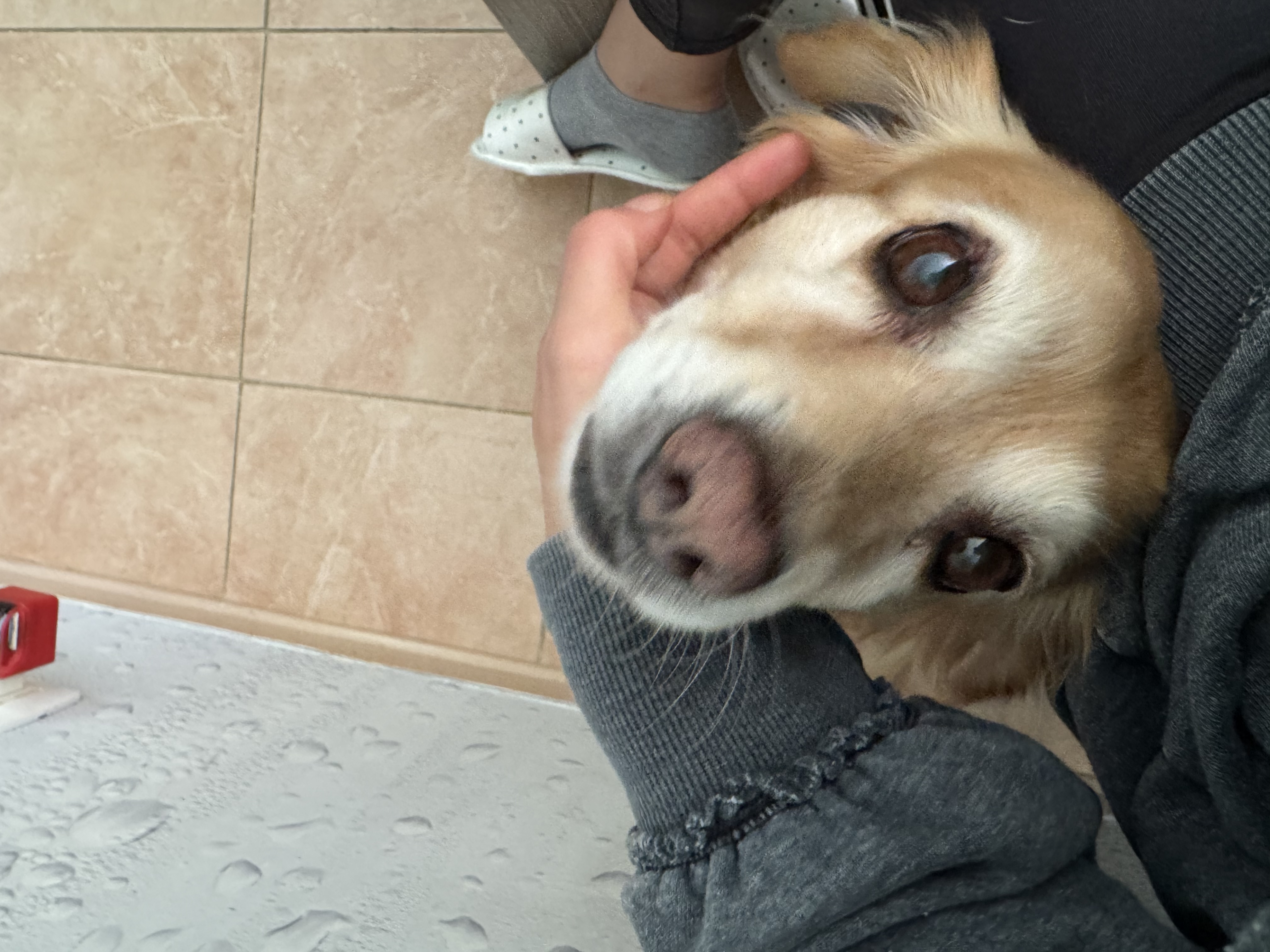 image-7