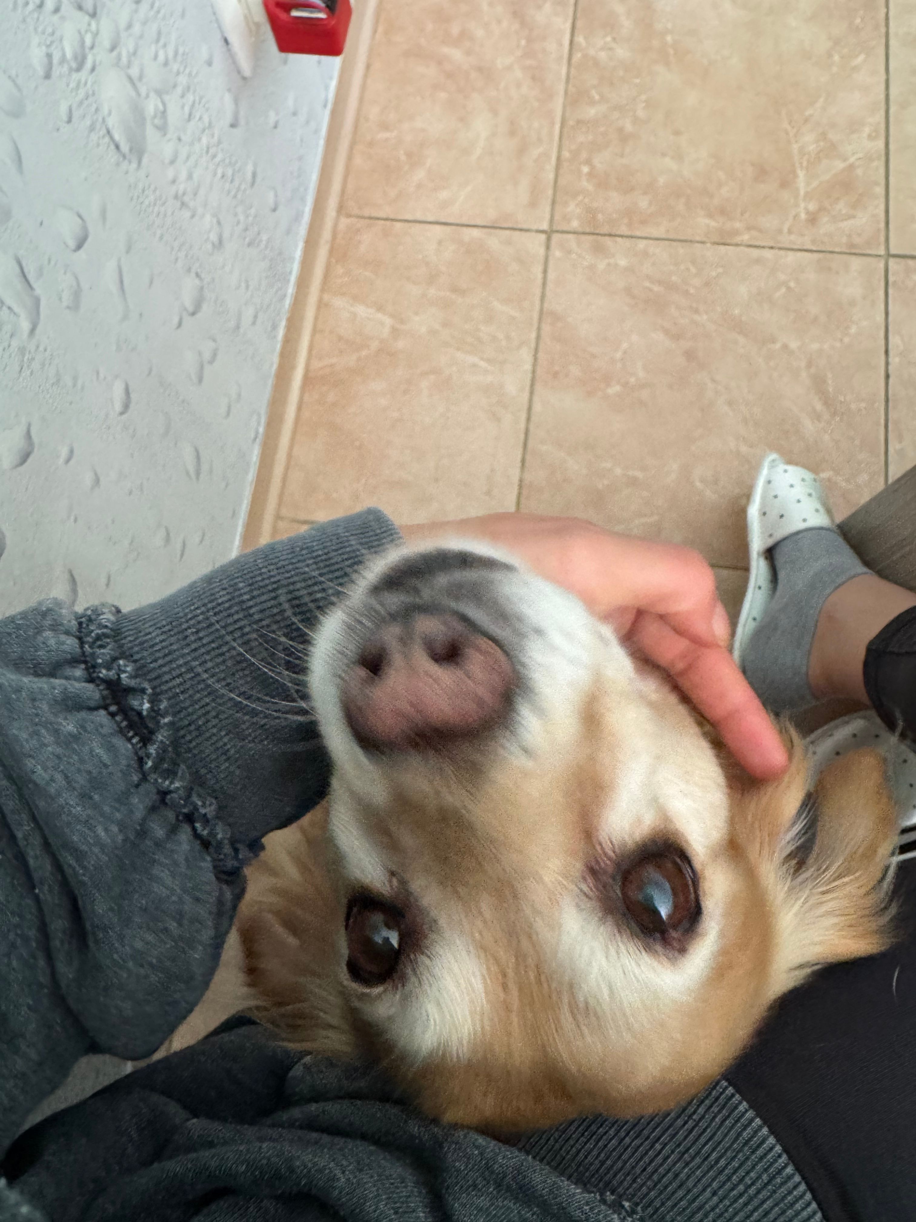 image-7