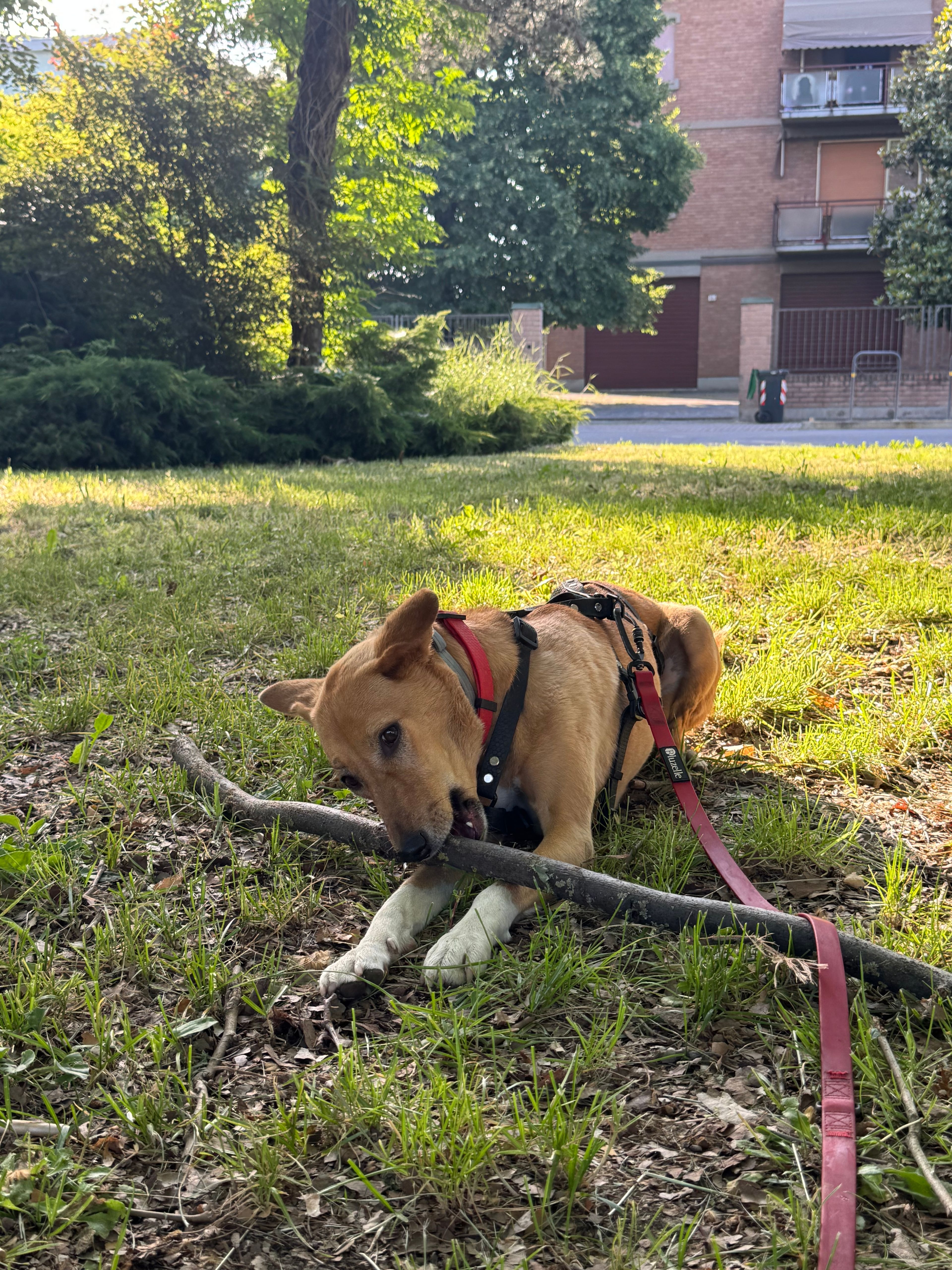 image-9