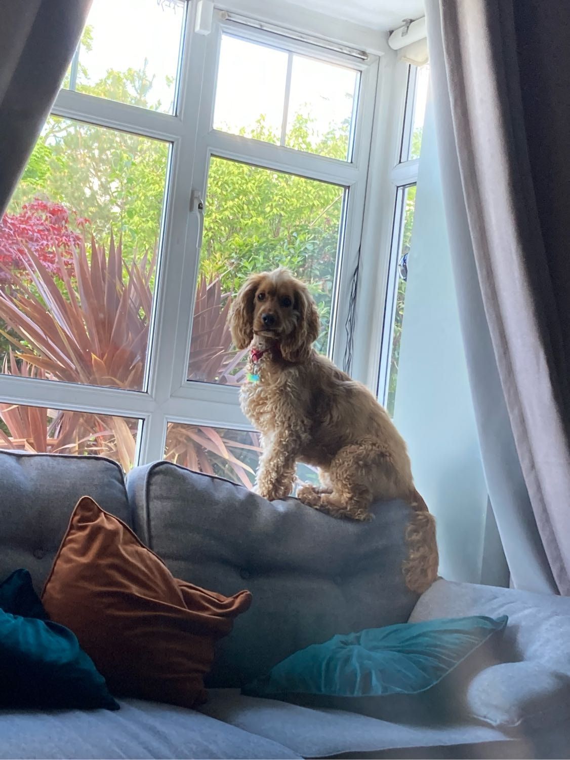 image-2