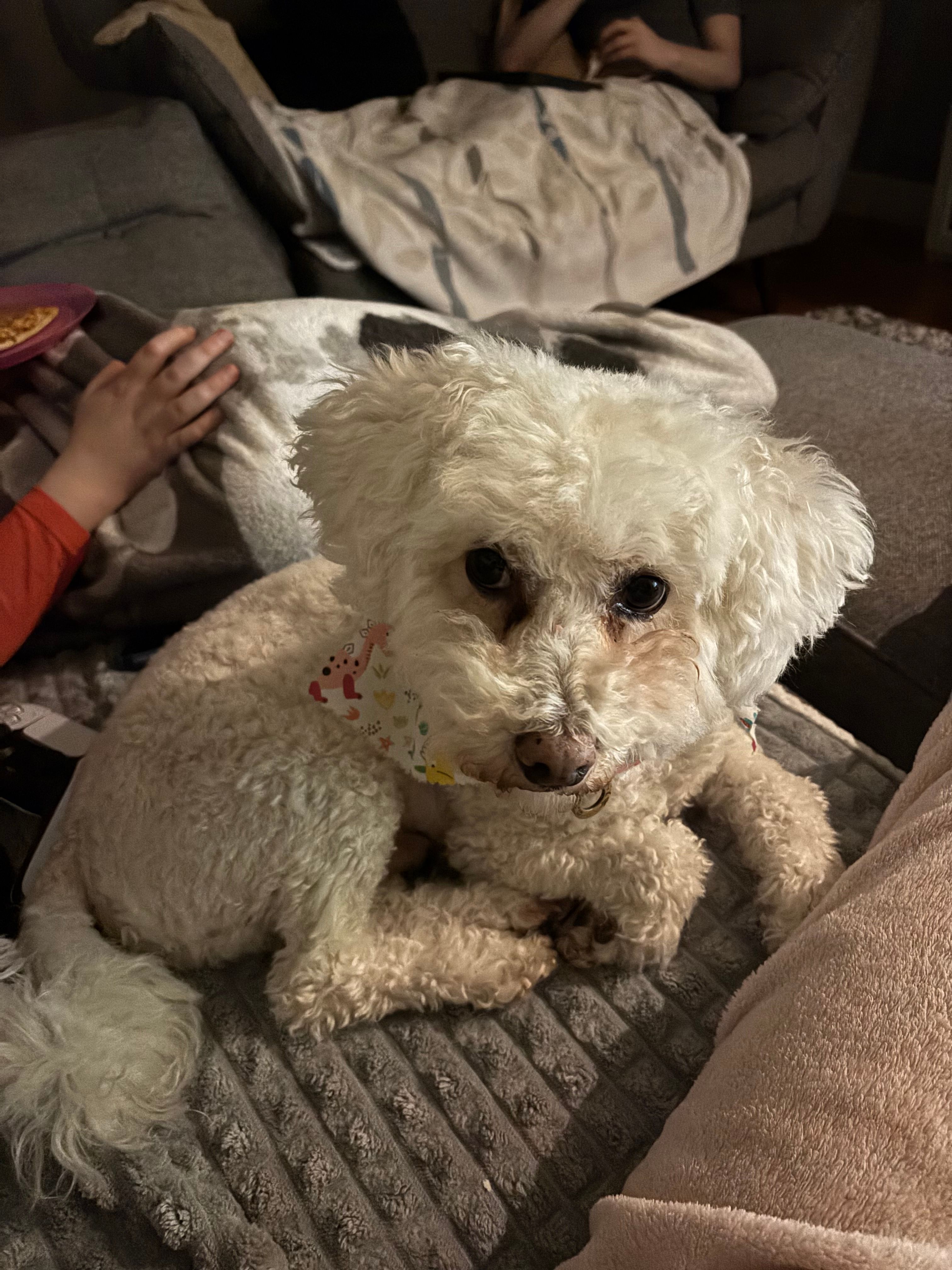 image-13