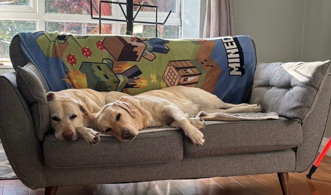 image-34