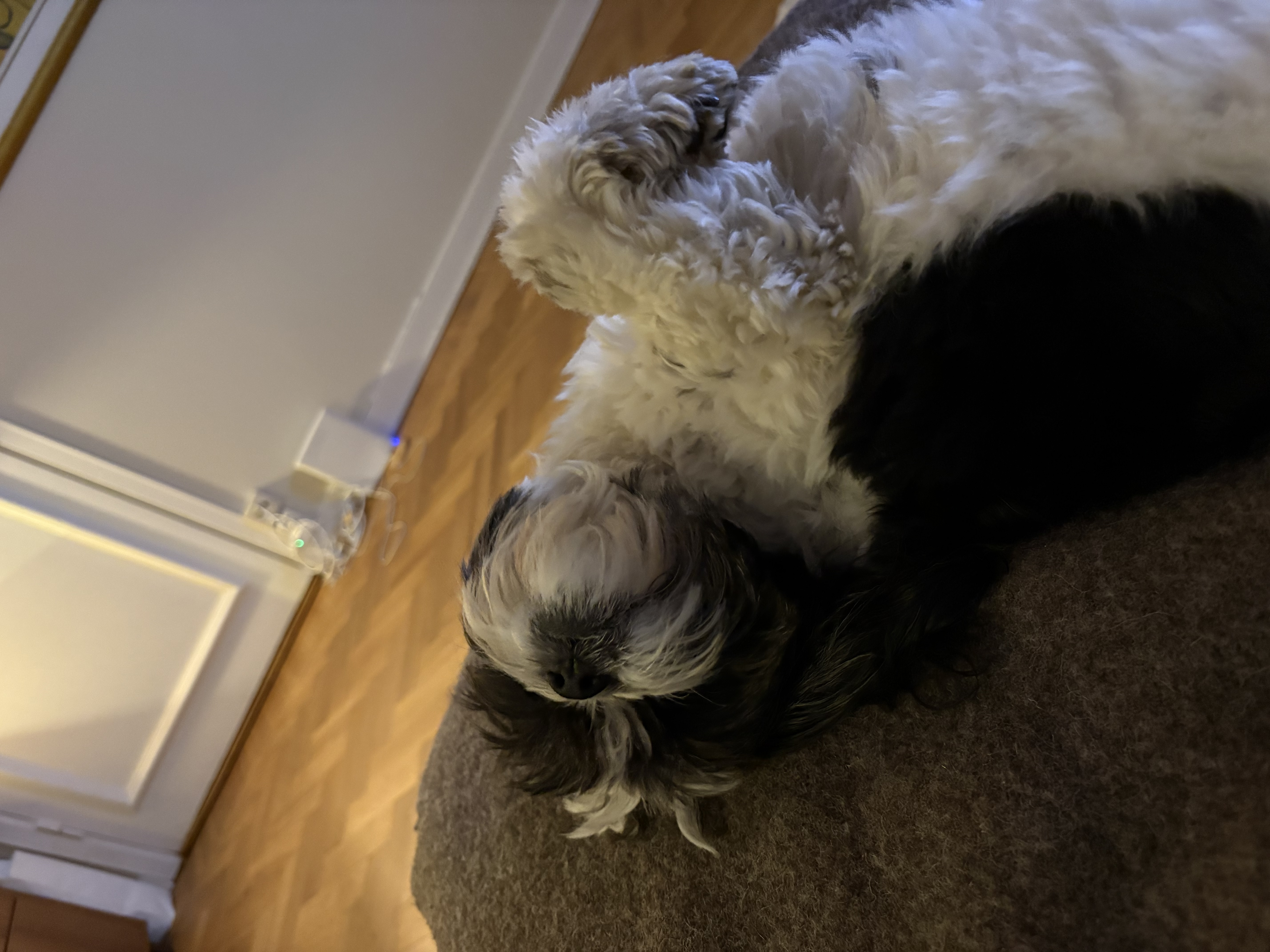 image-14