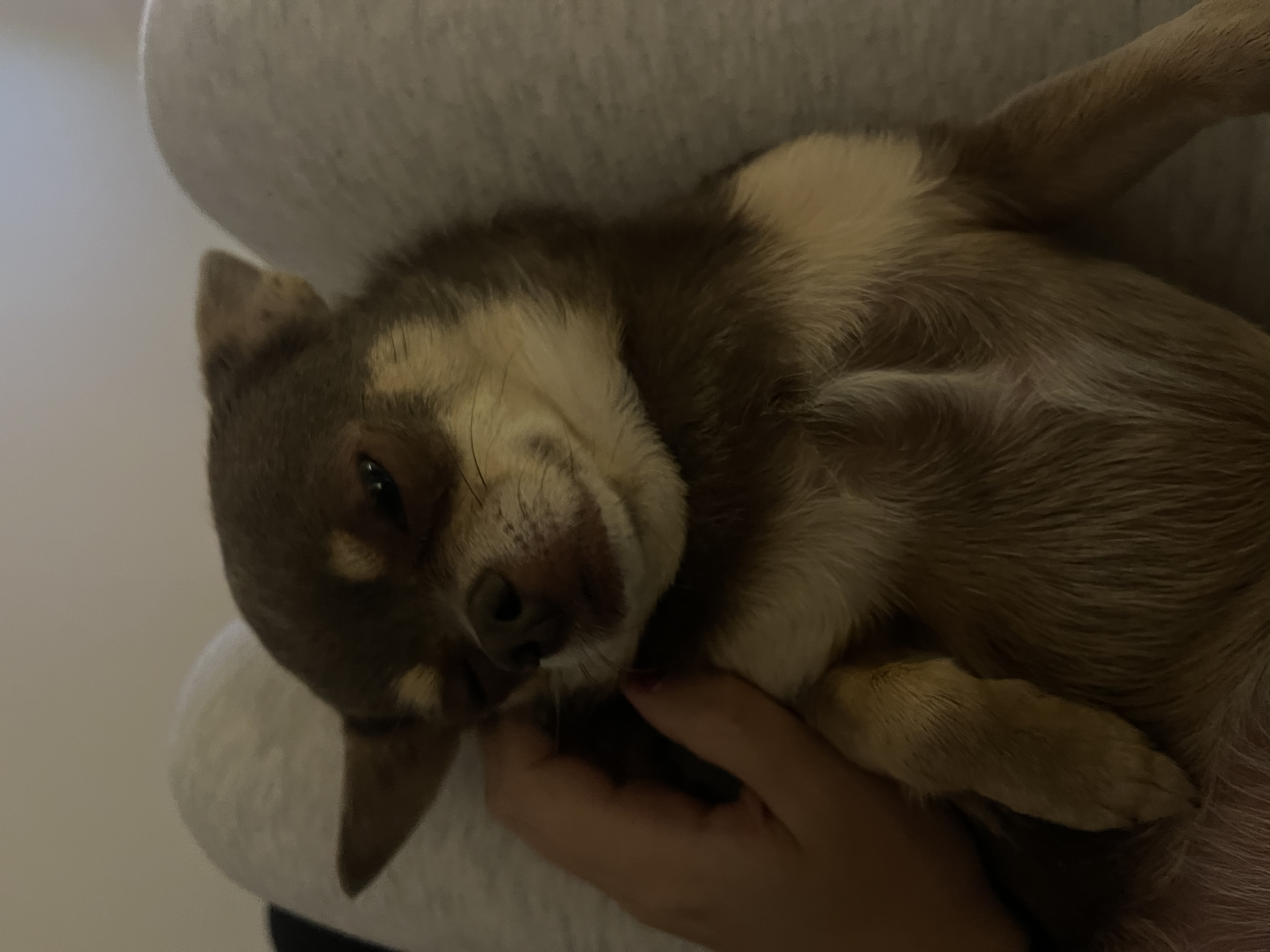 image-6