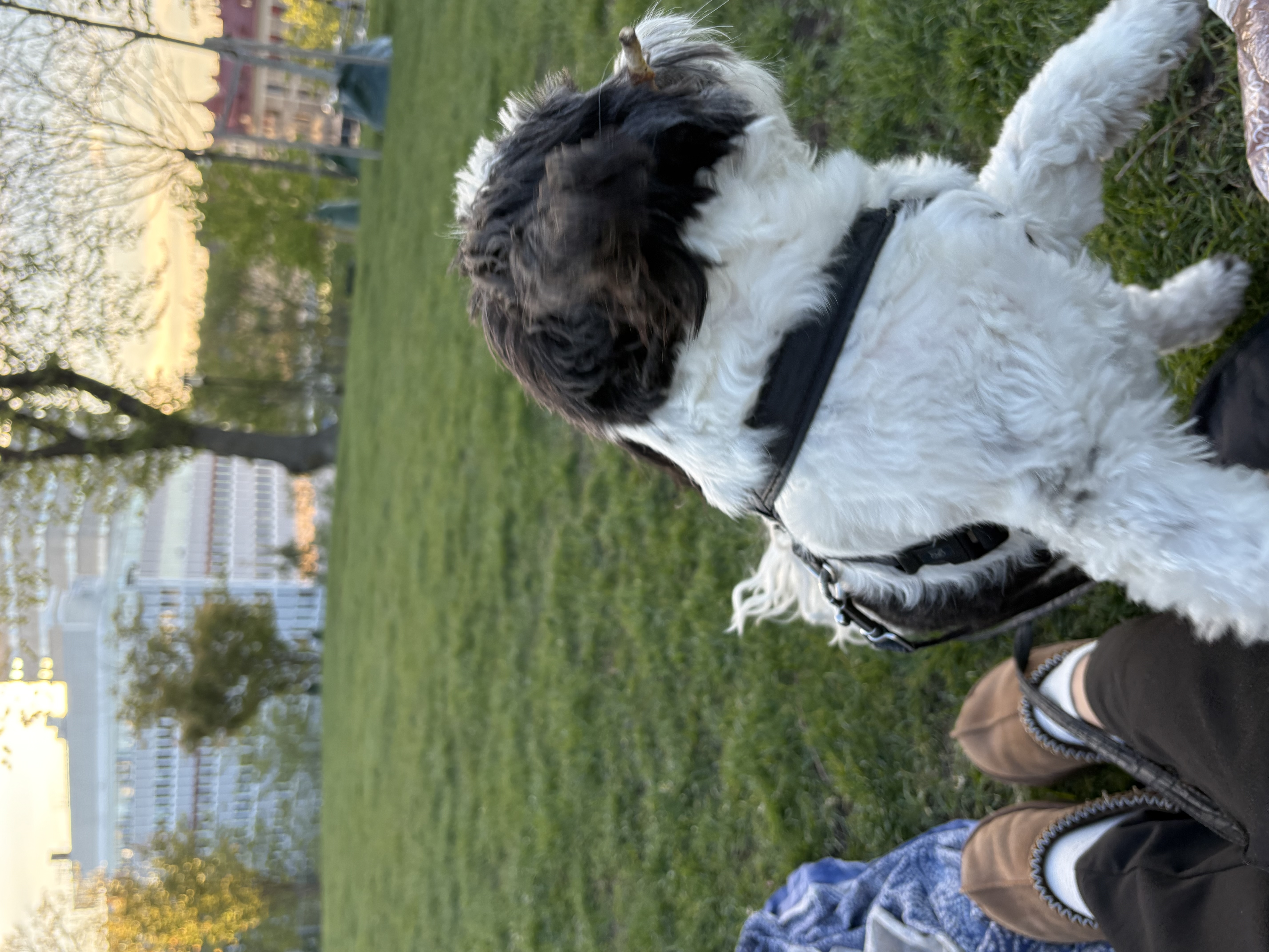 image-4