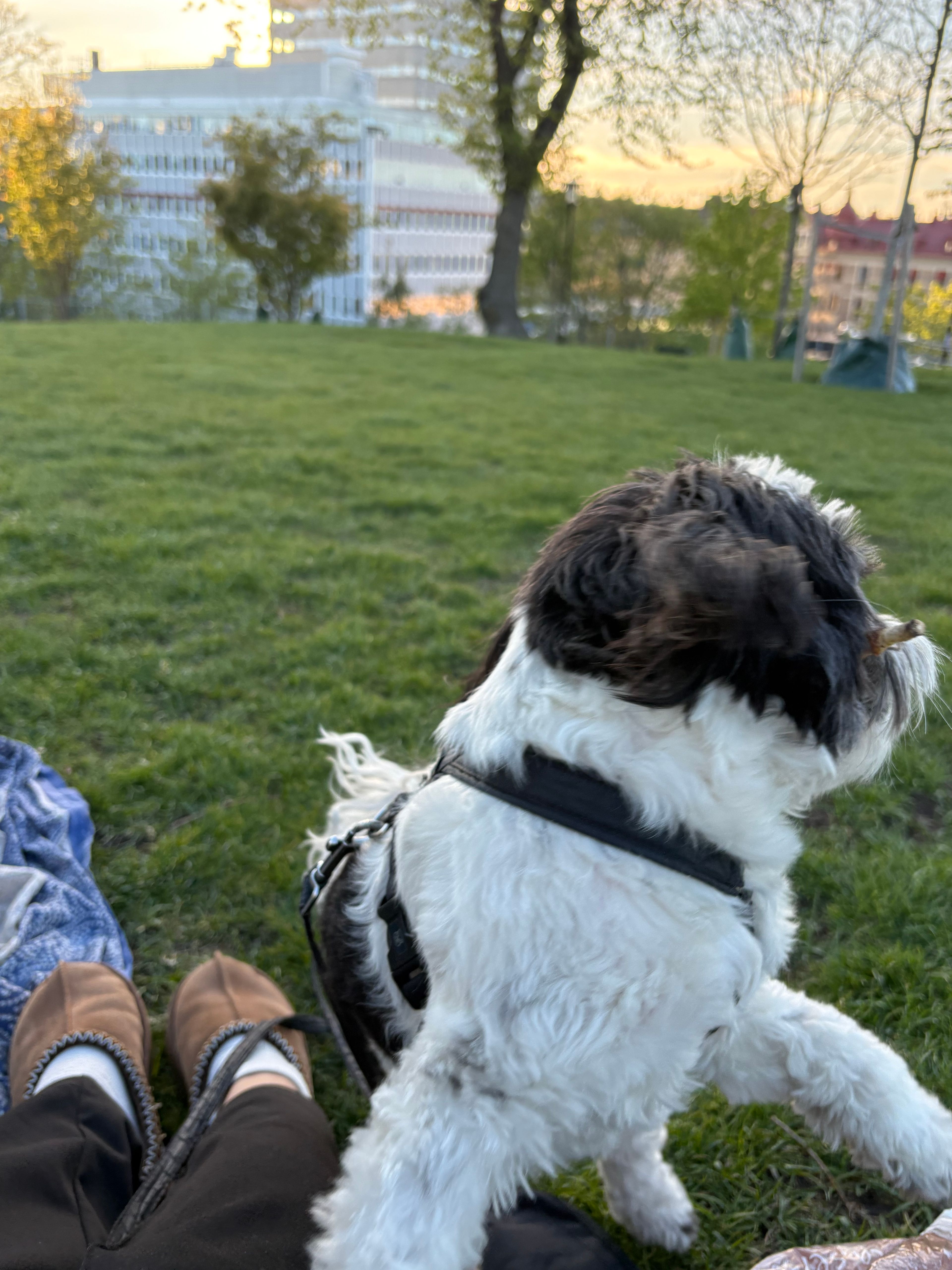 image-4