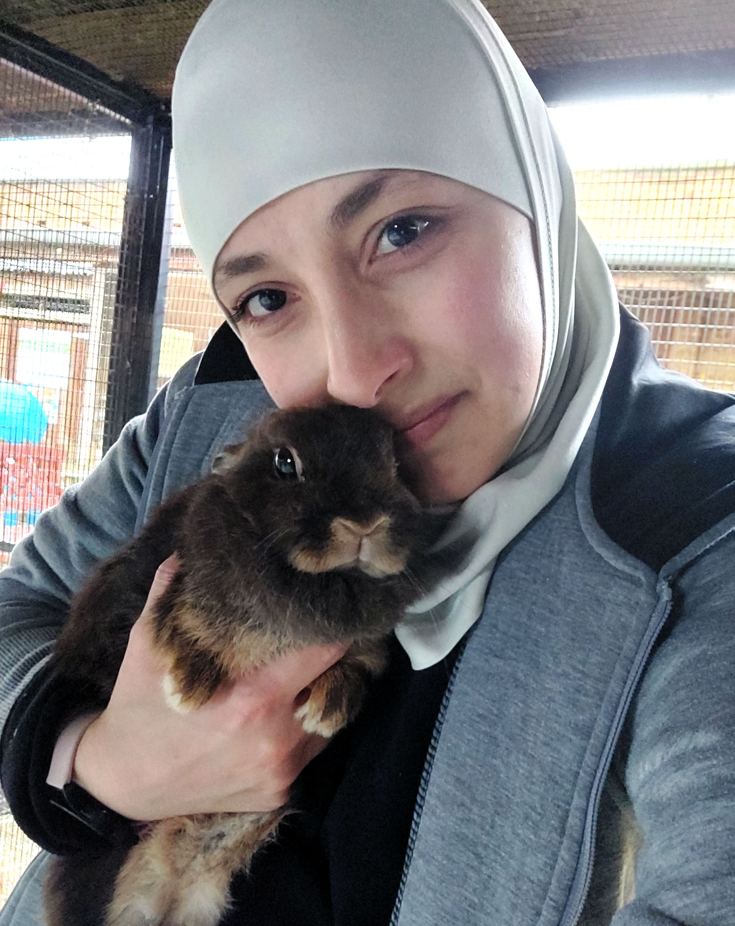 image-8