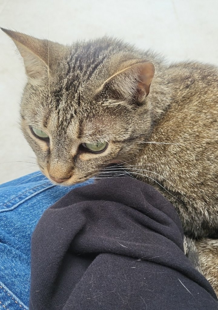 image-7
