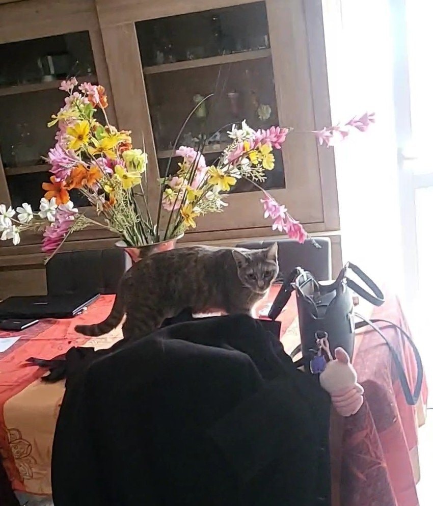 image-8
