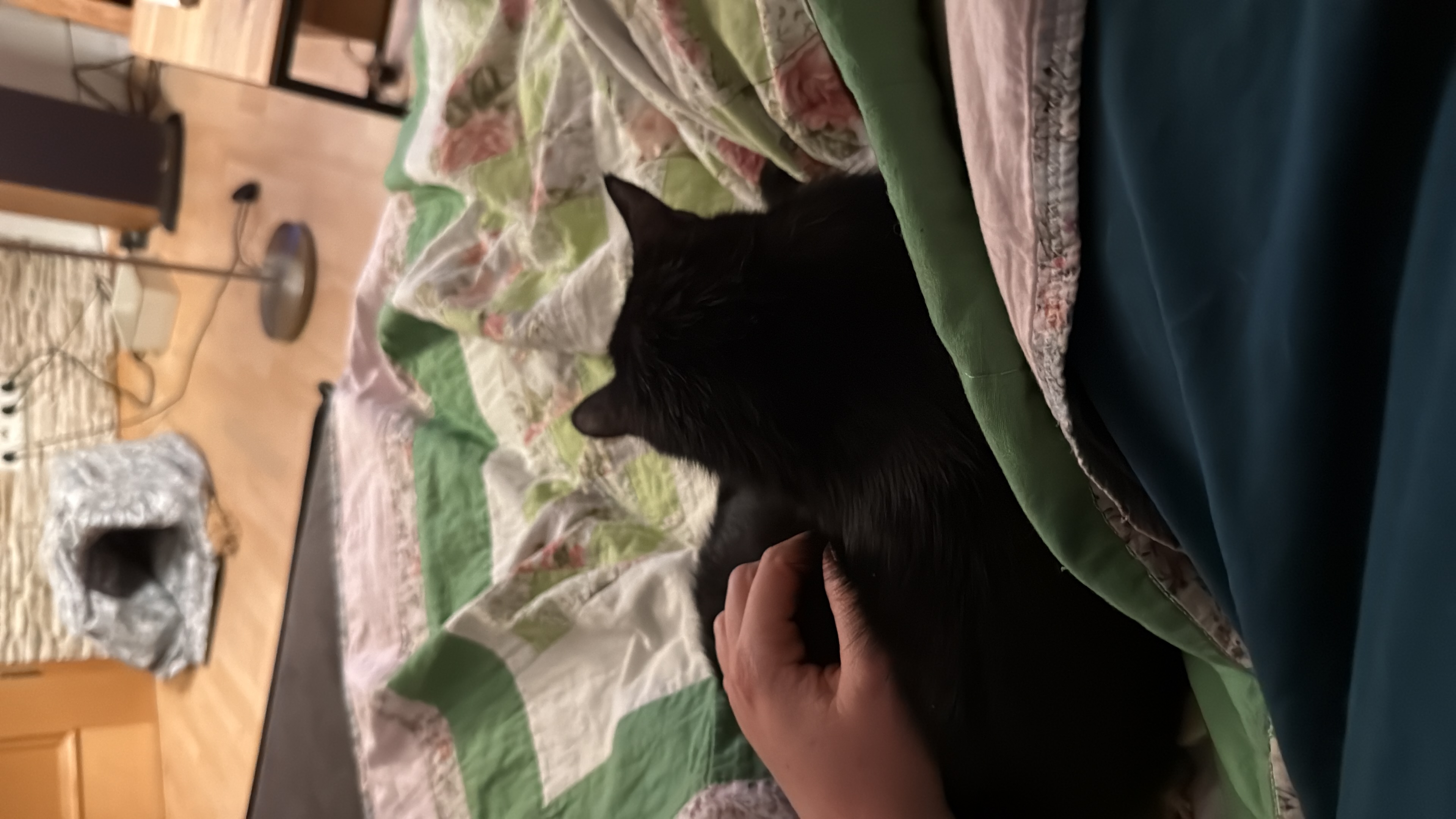 image-6