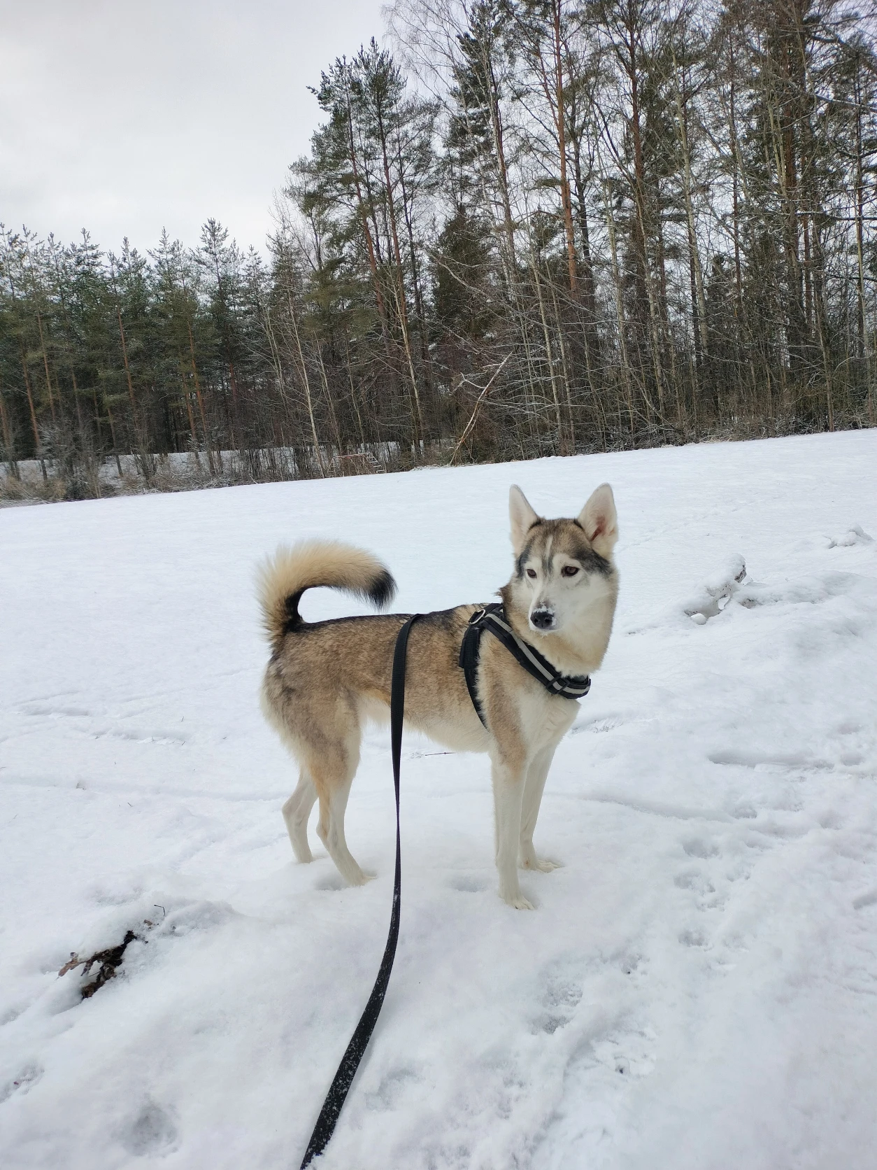 image-5