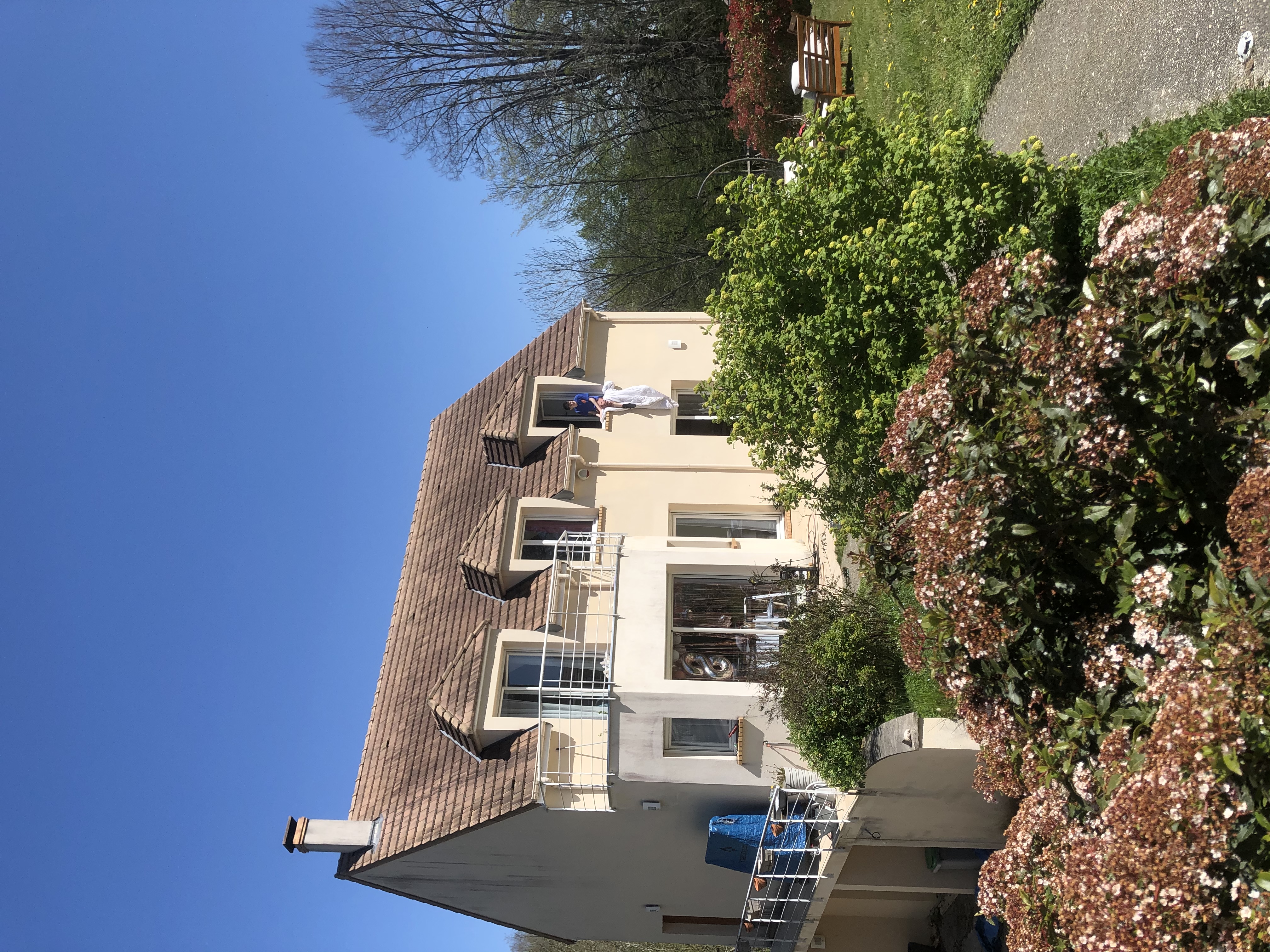 image-14