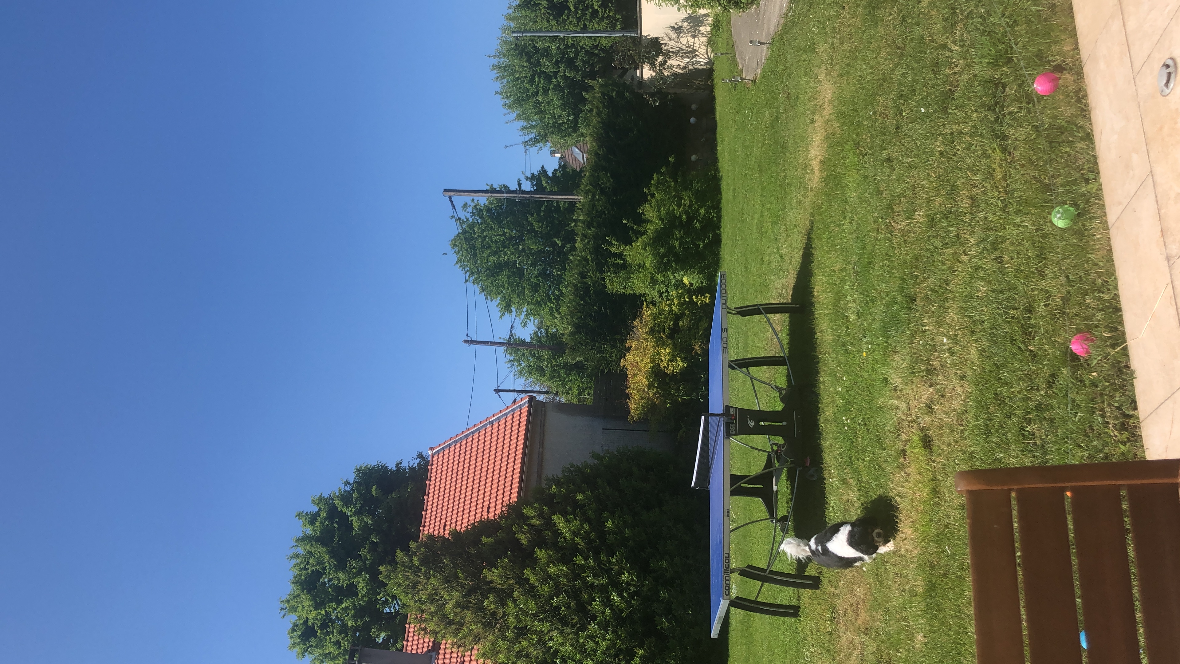 image-17