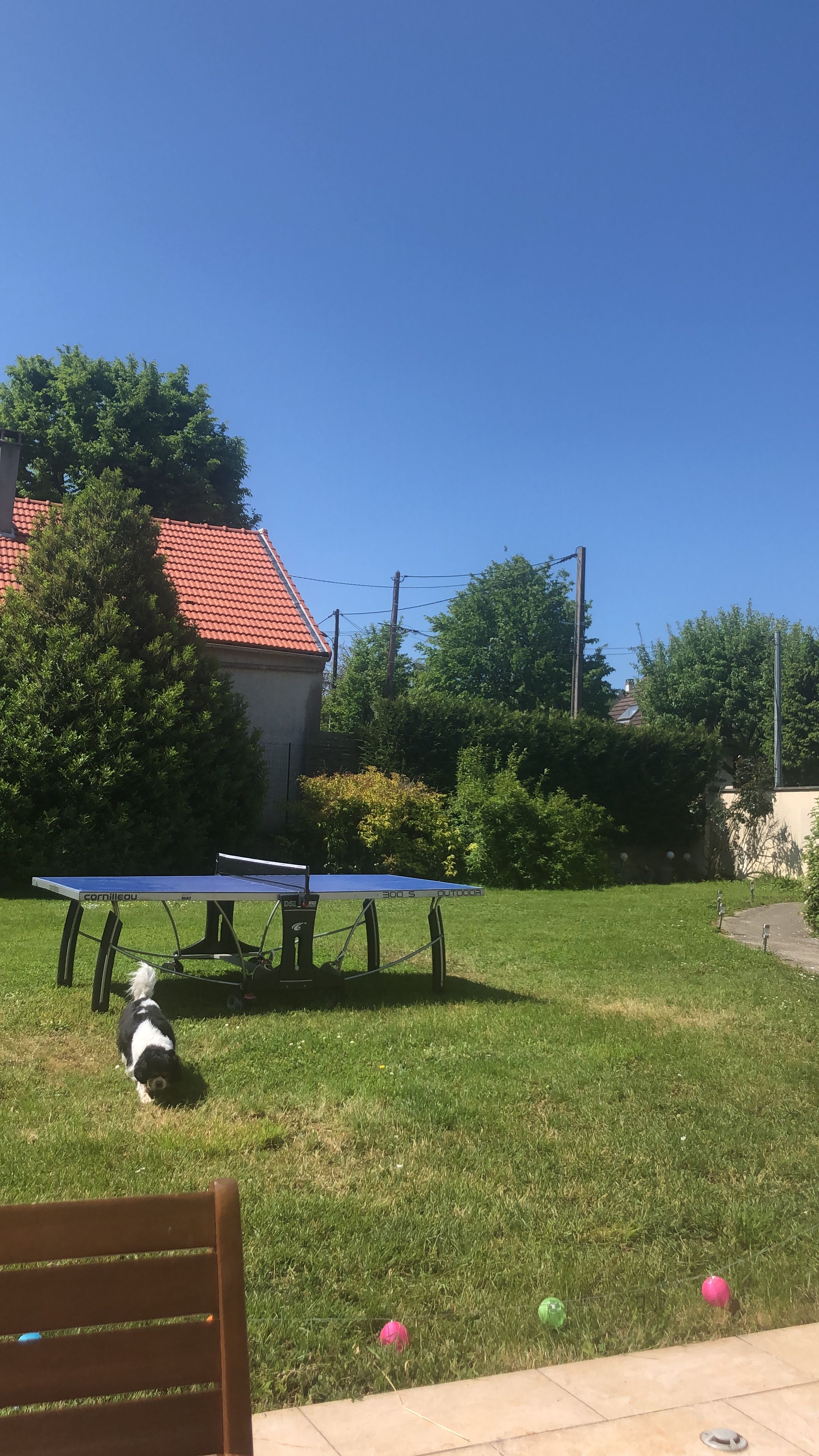image-17