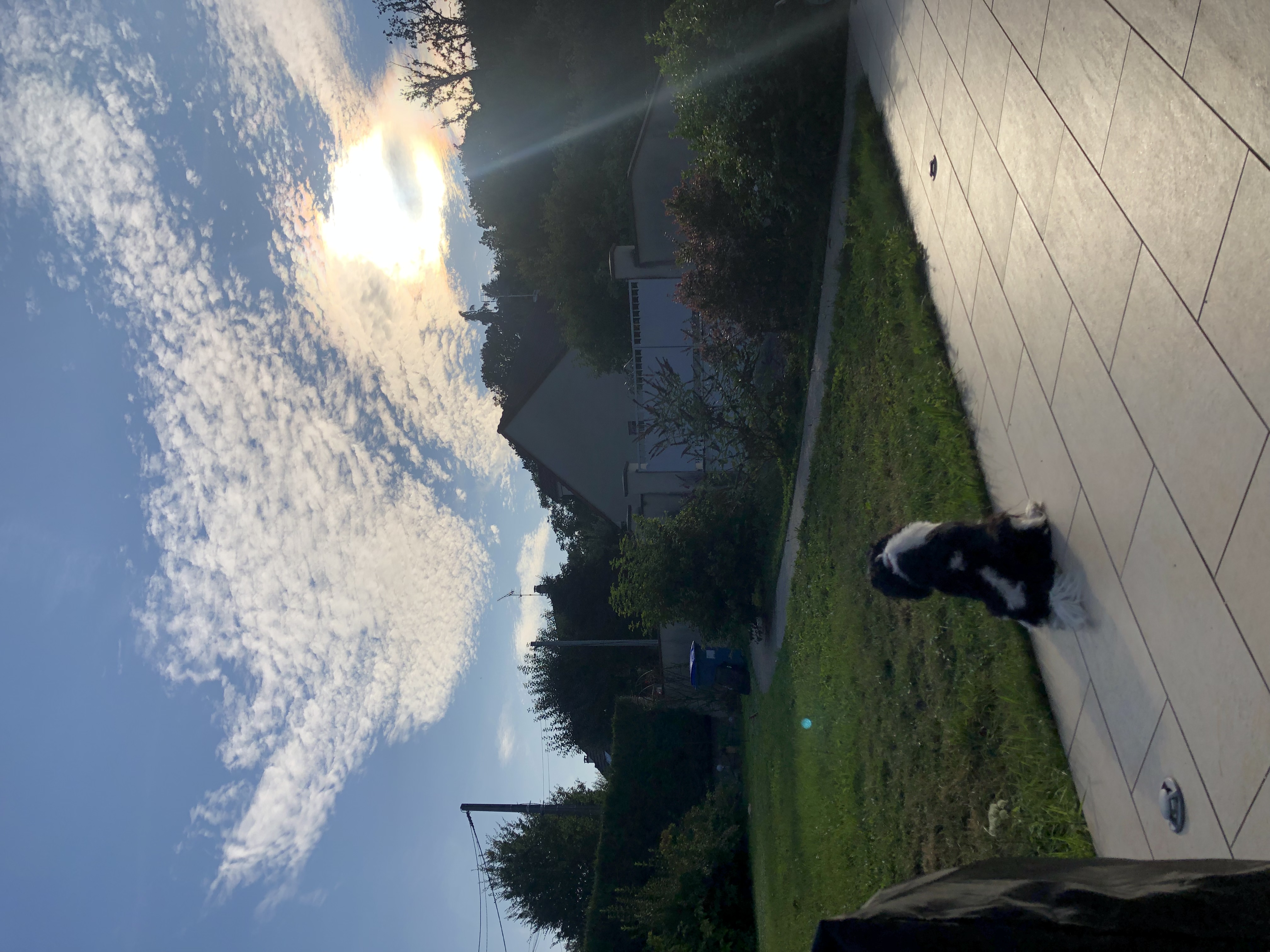 image-20