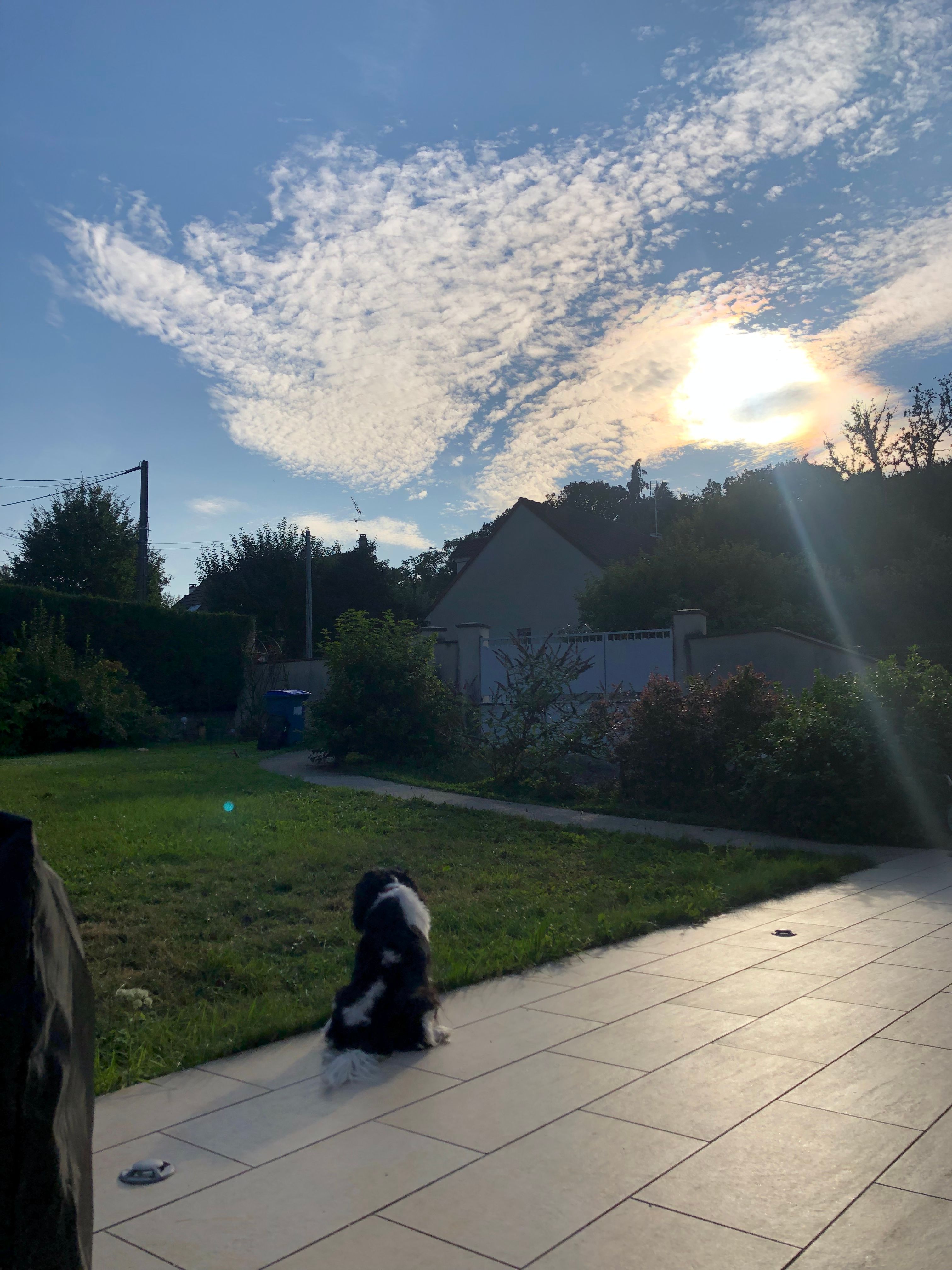 image-20