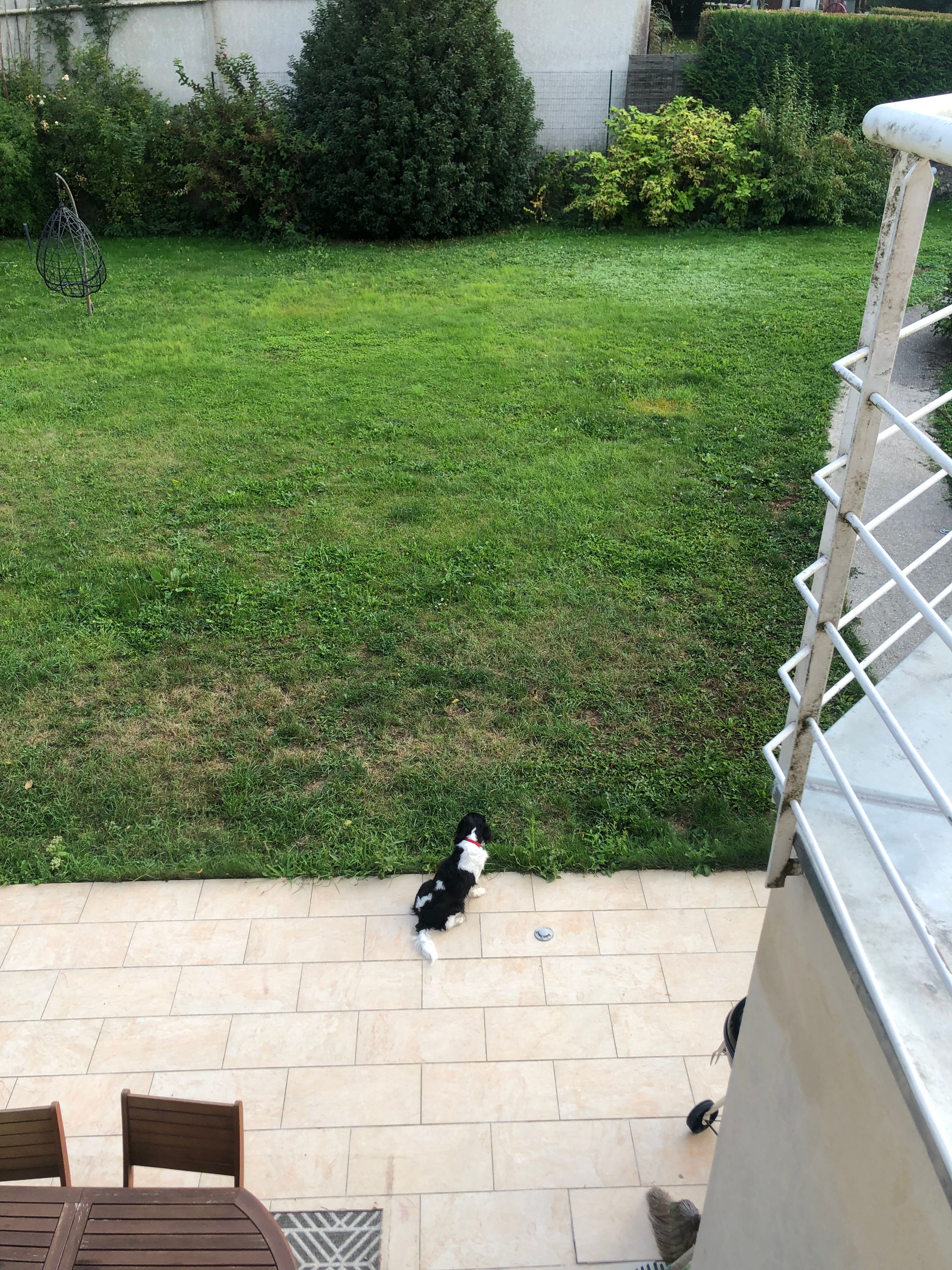 image-18