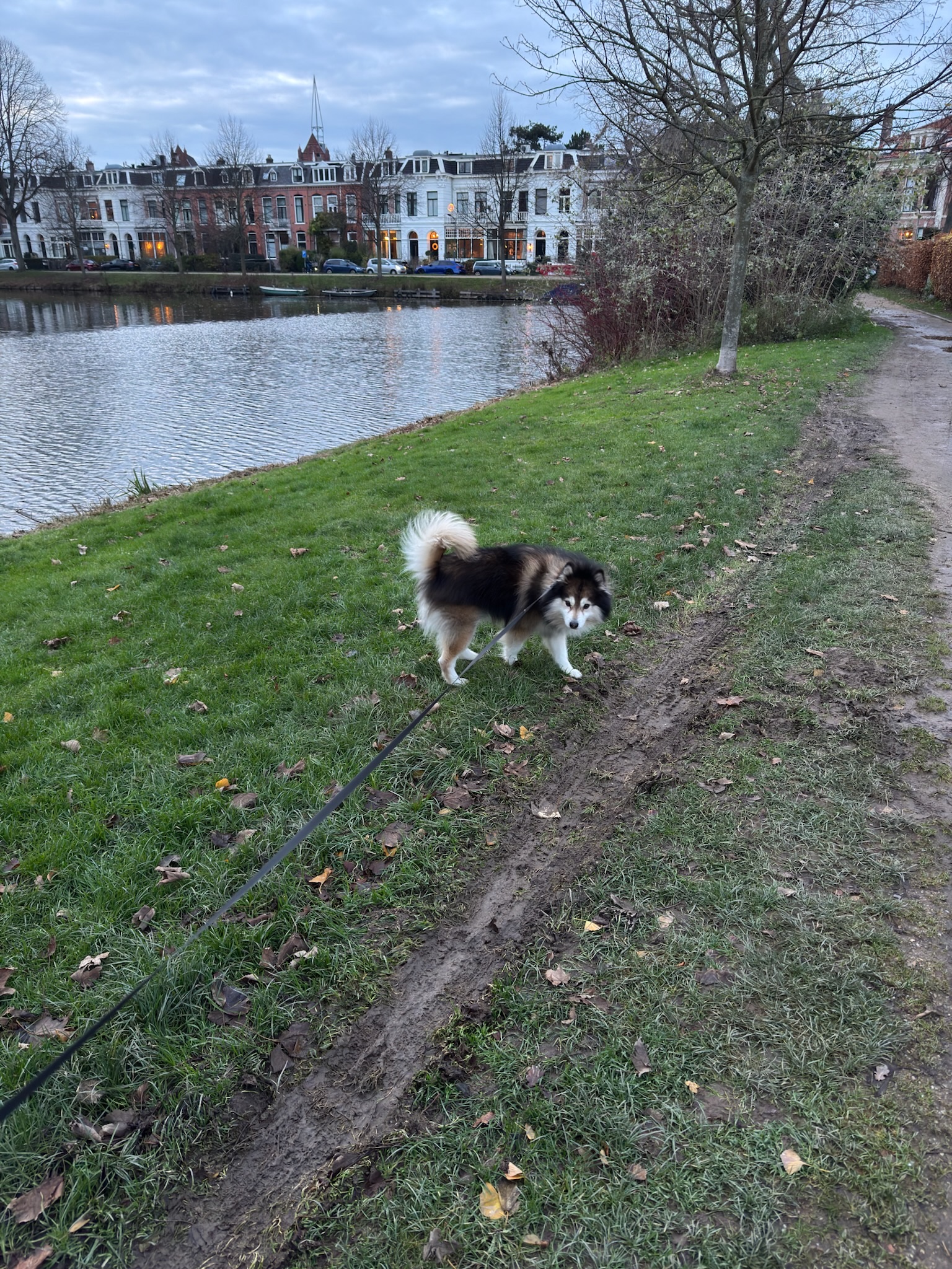 image-7