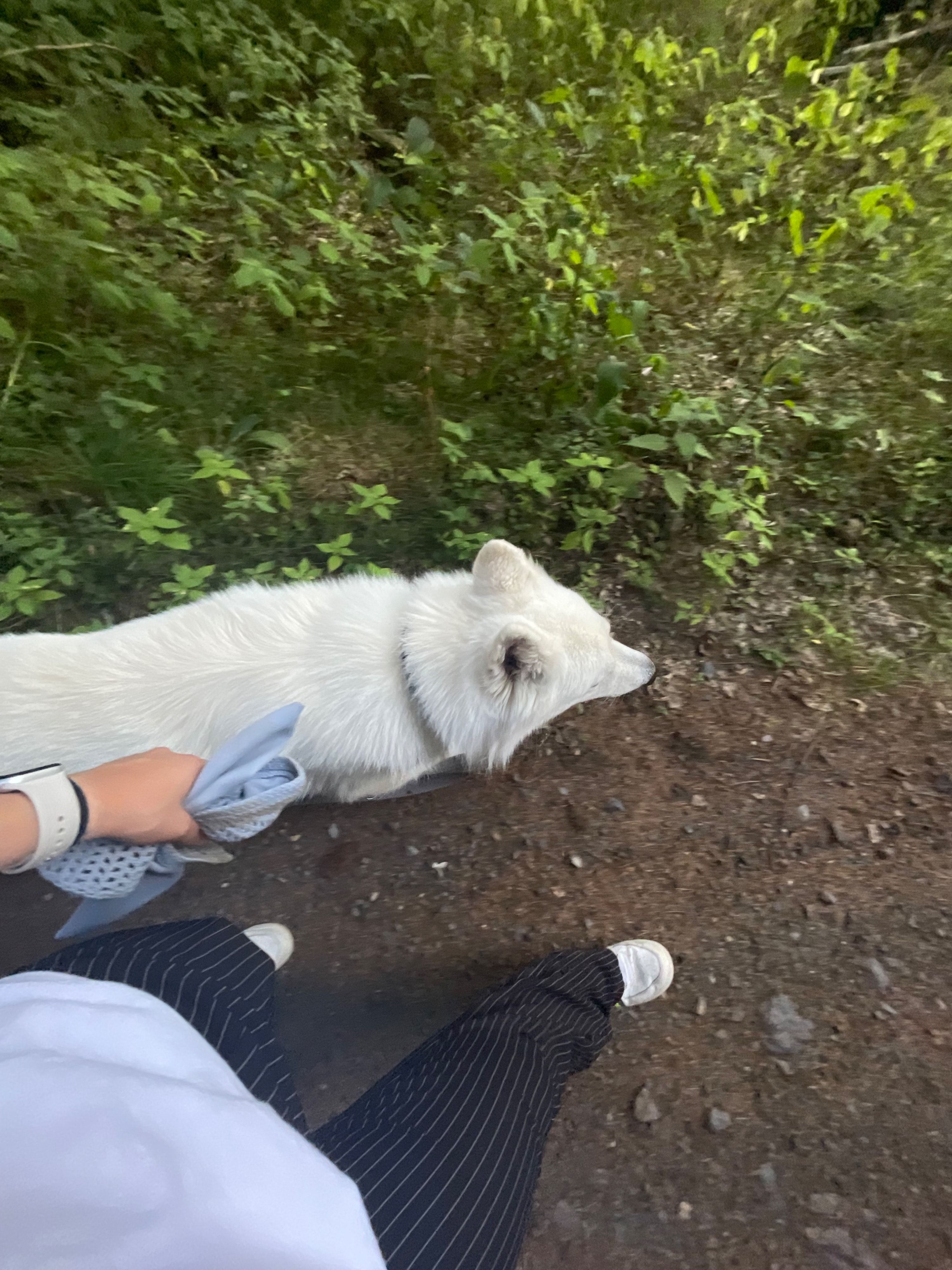 image-5