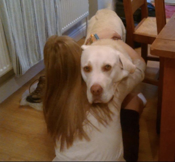 image-4