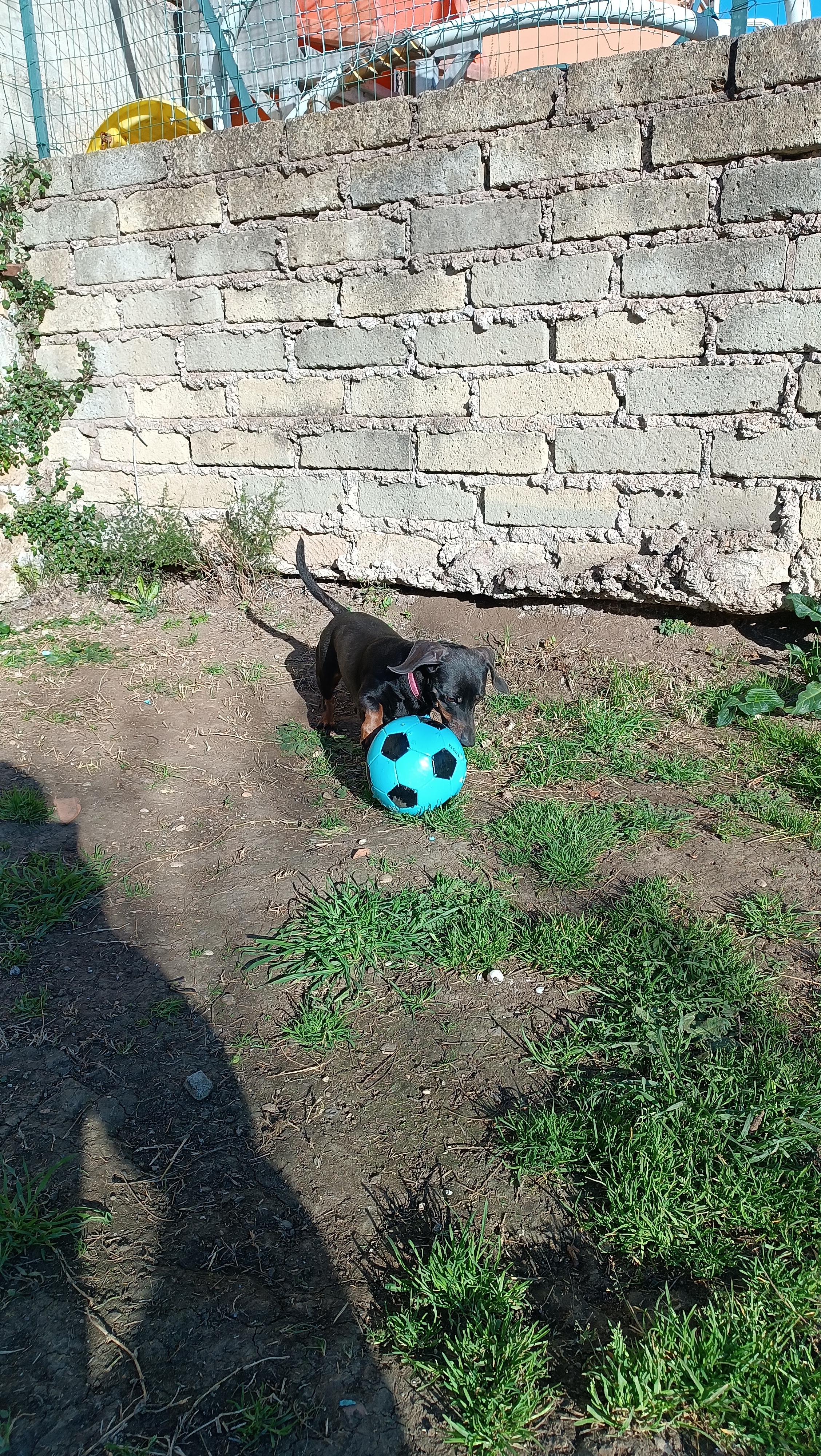 image-9