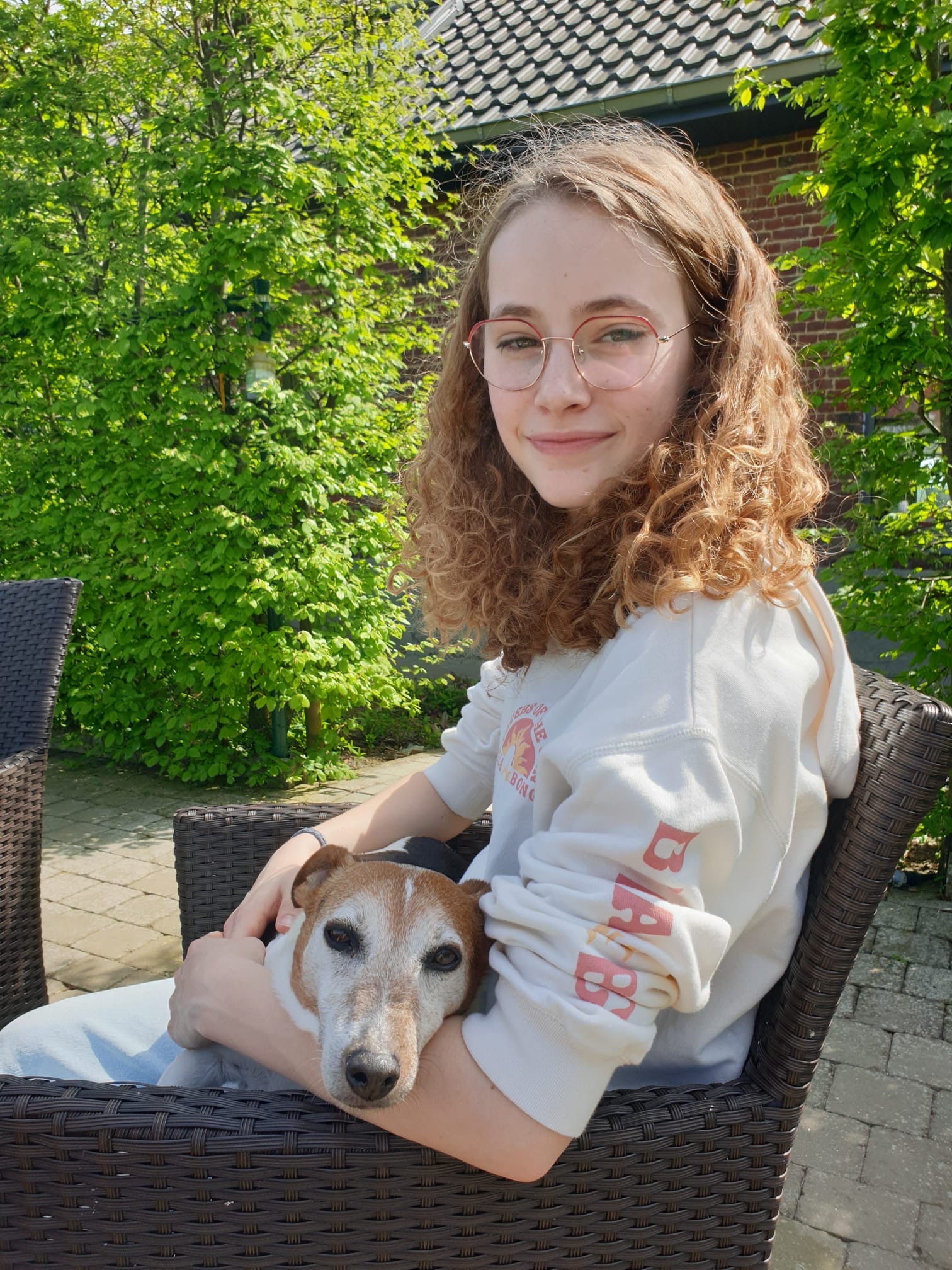 image-6
