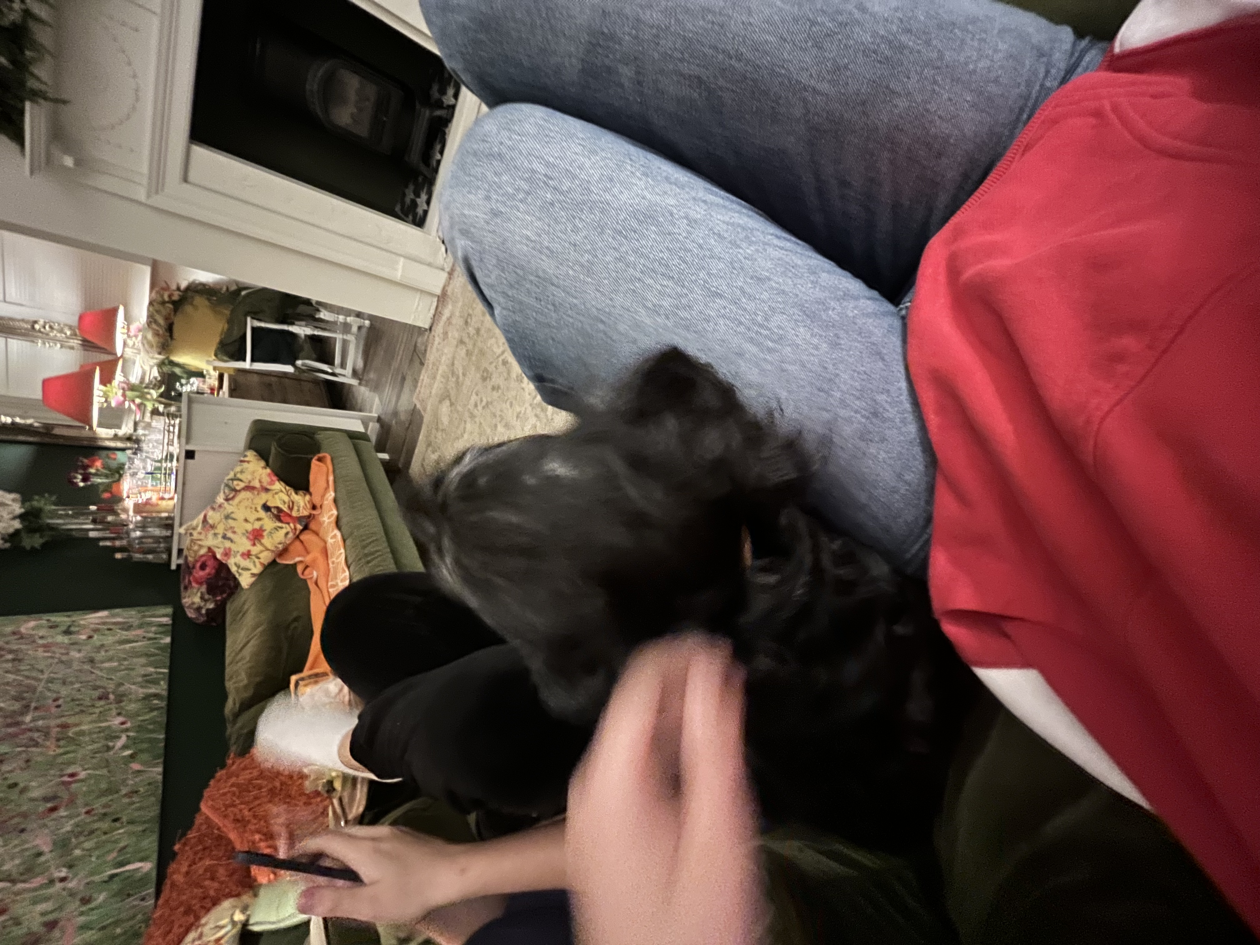 image-9