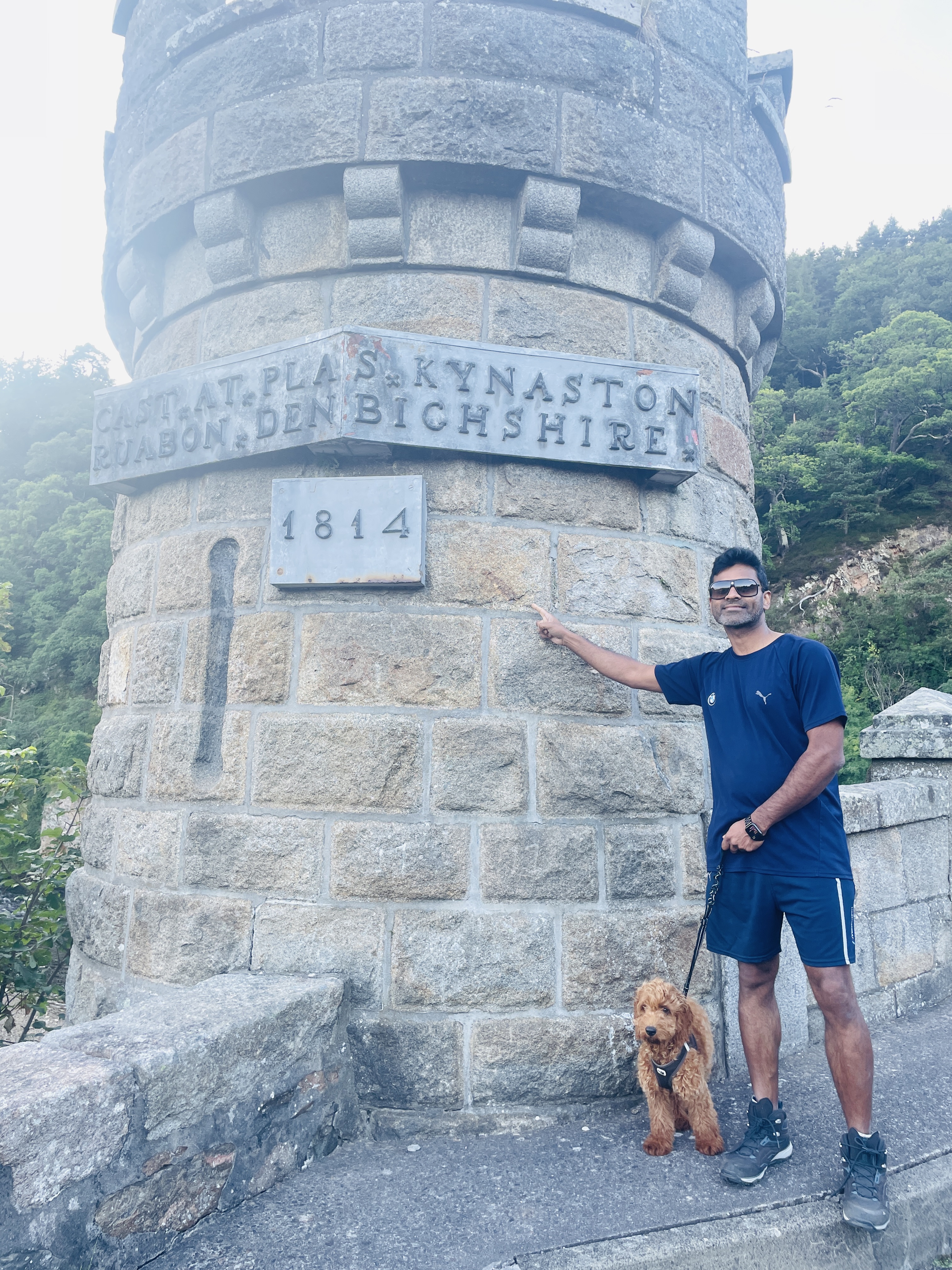 image-7