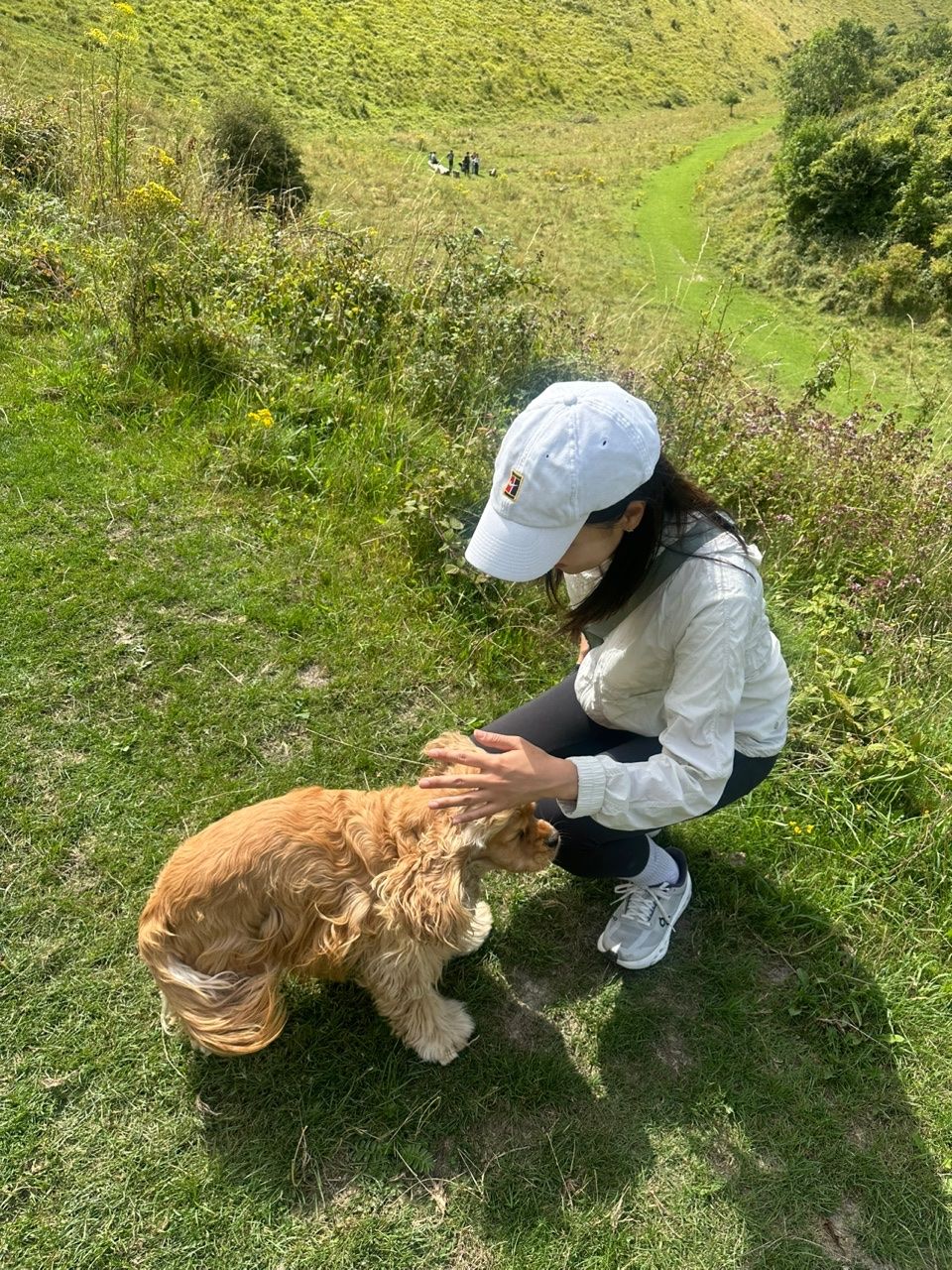 image-9