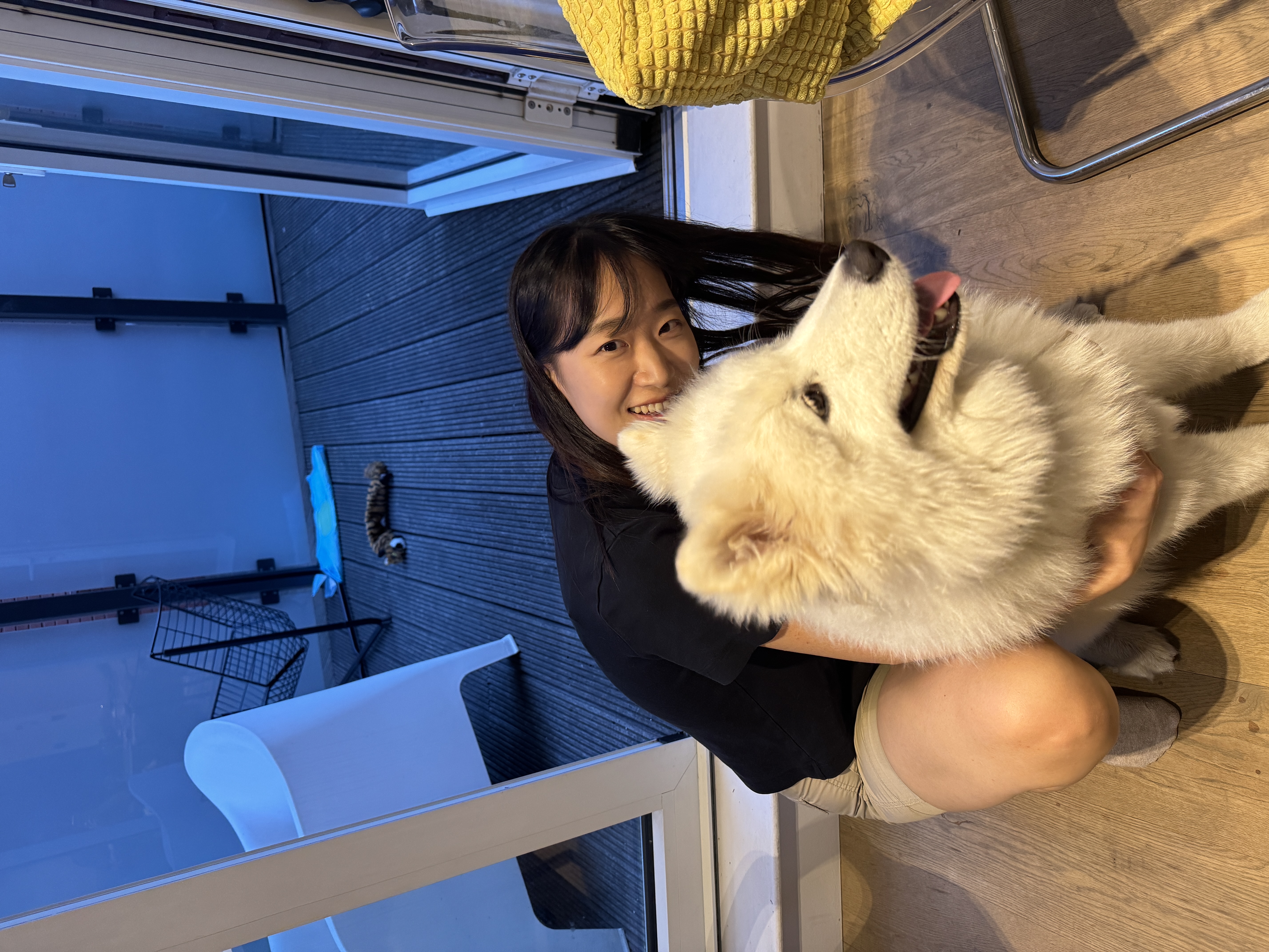 image-4