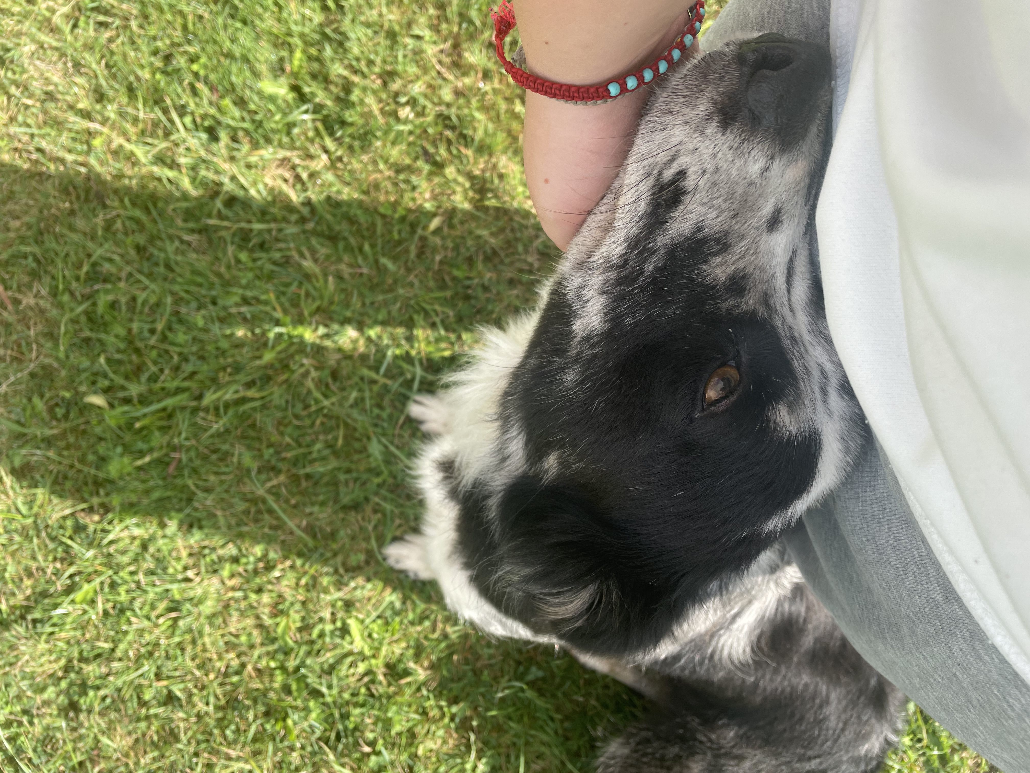 image-7