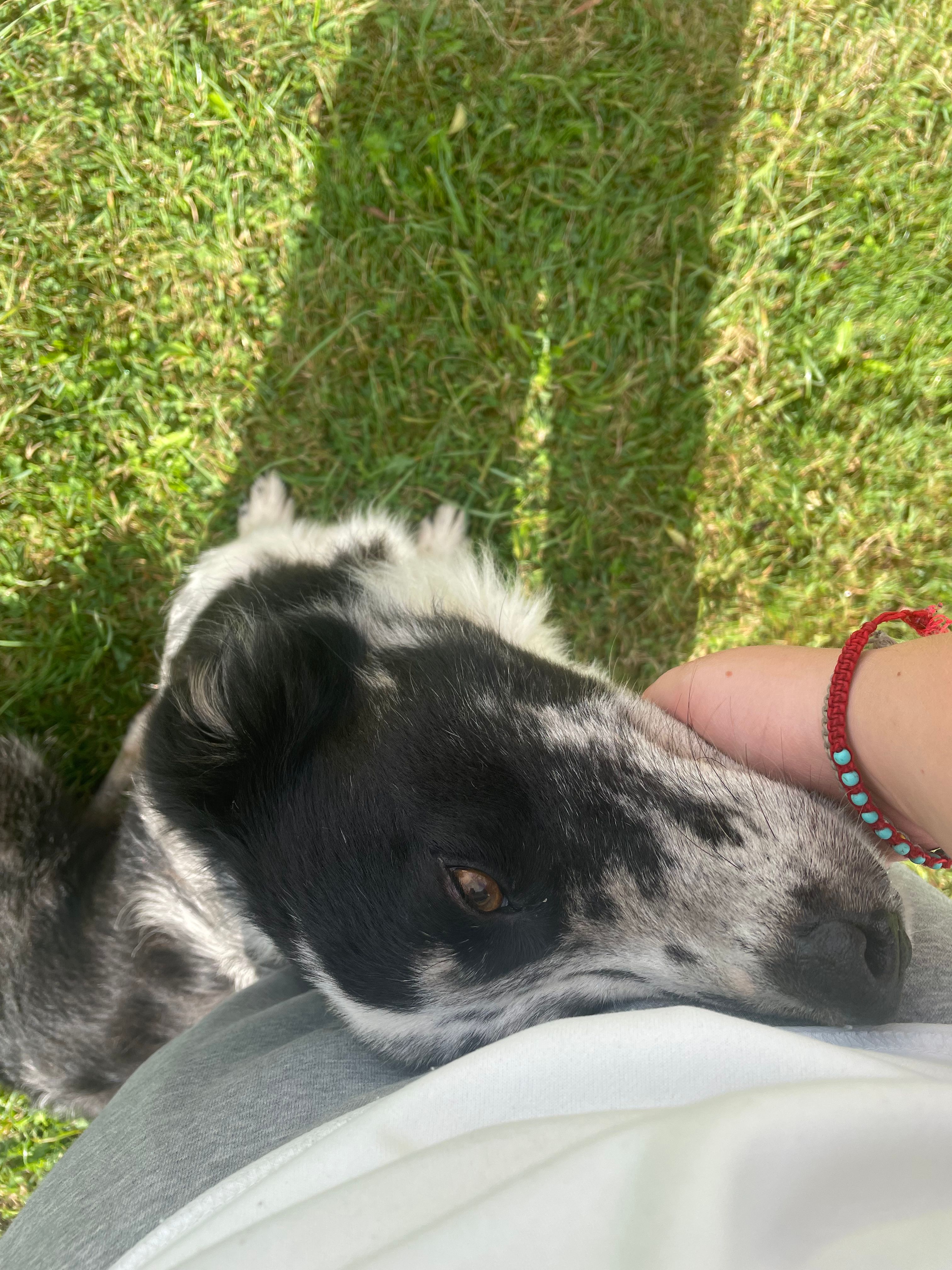 image-7
