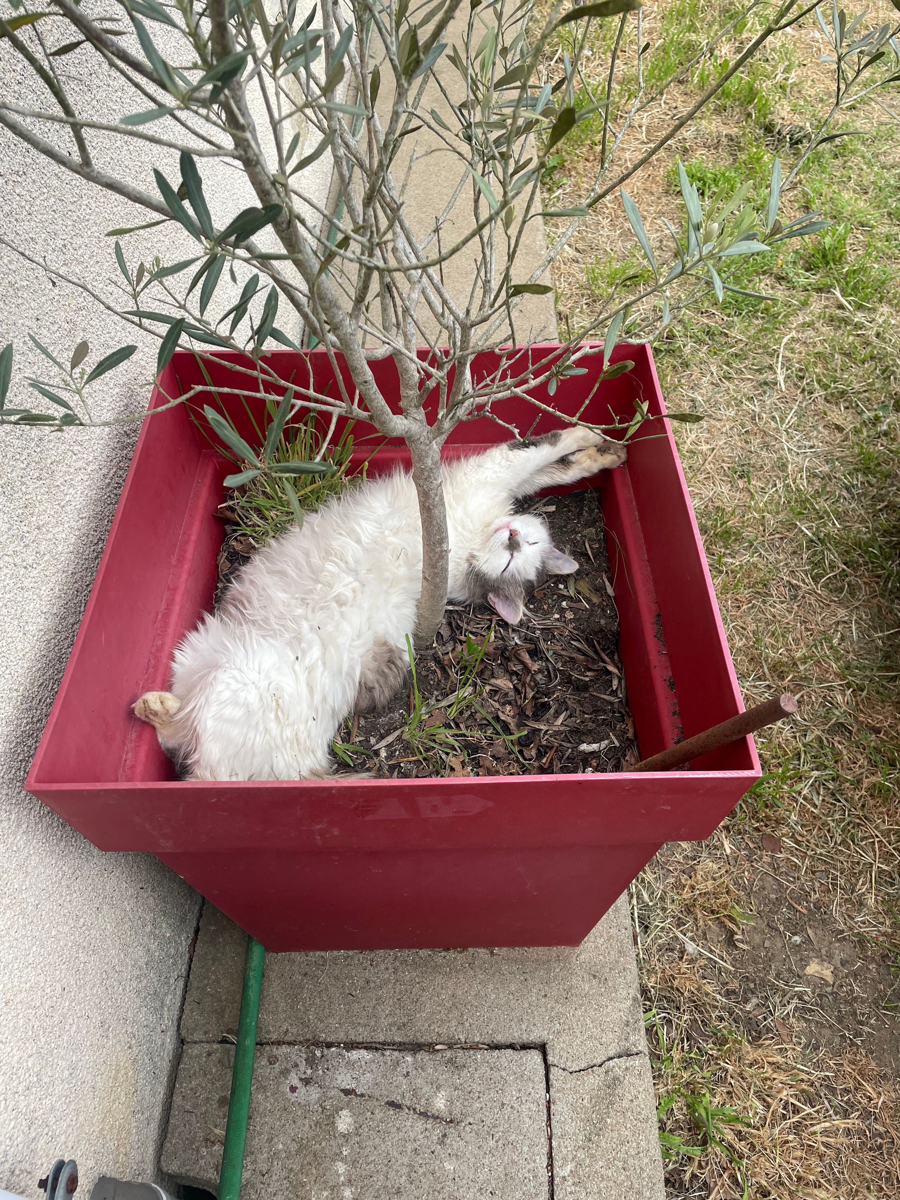 image-8