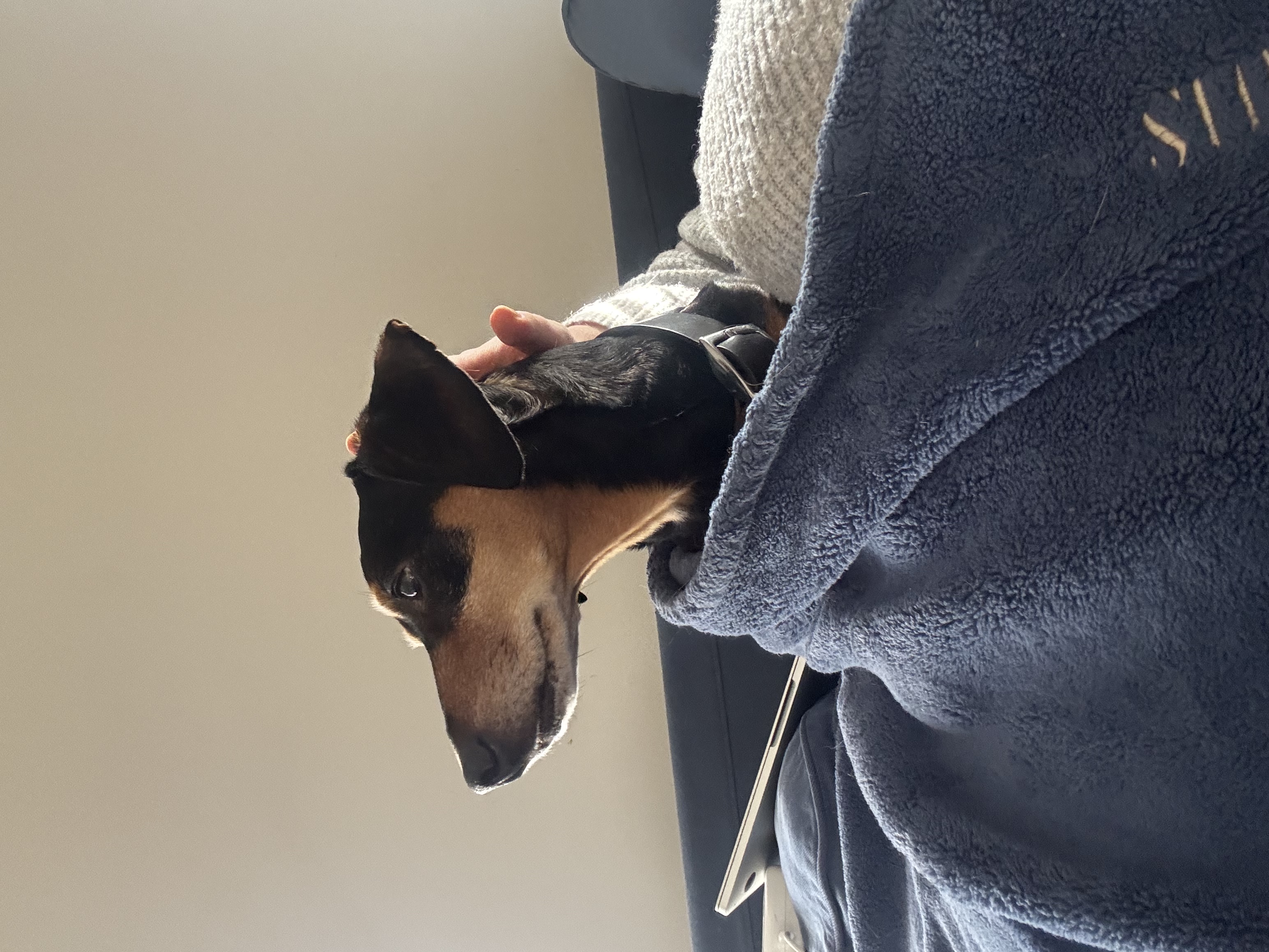 image-6