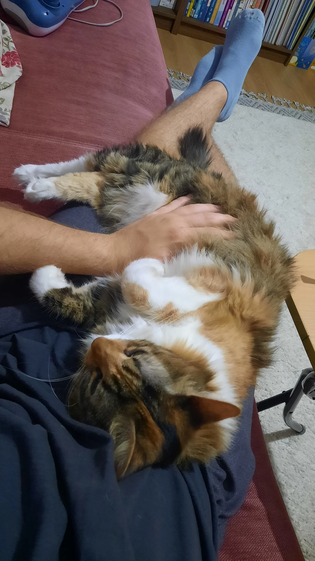 image-9