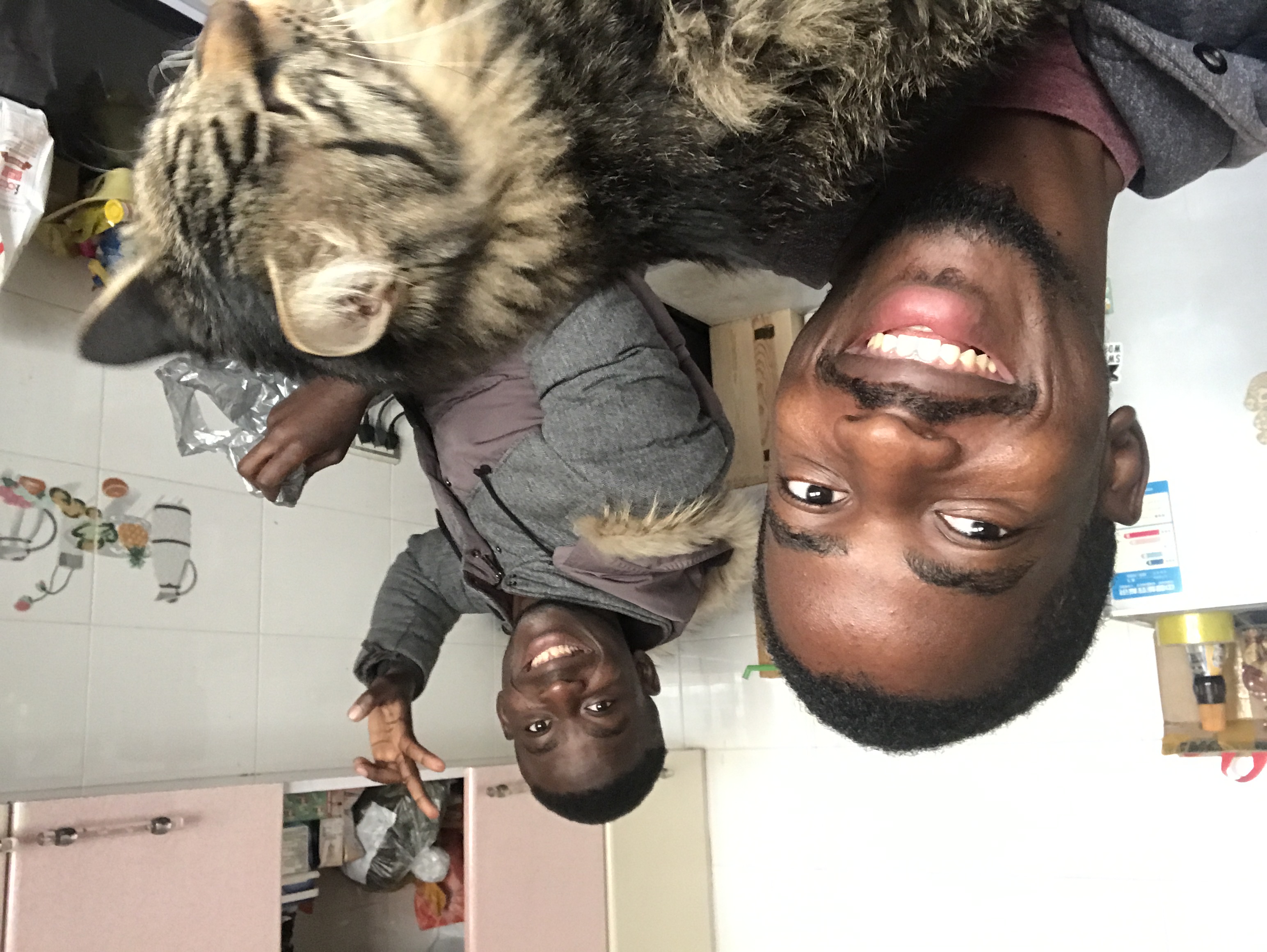 image-11