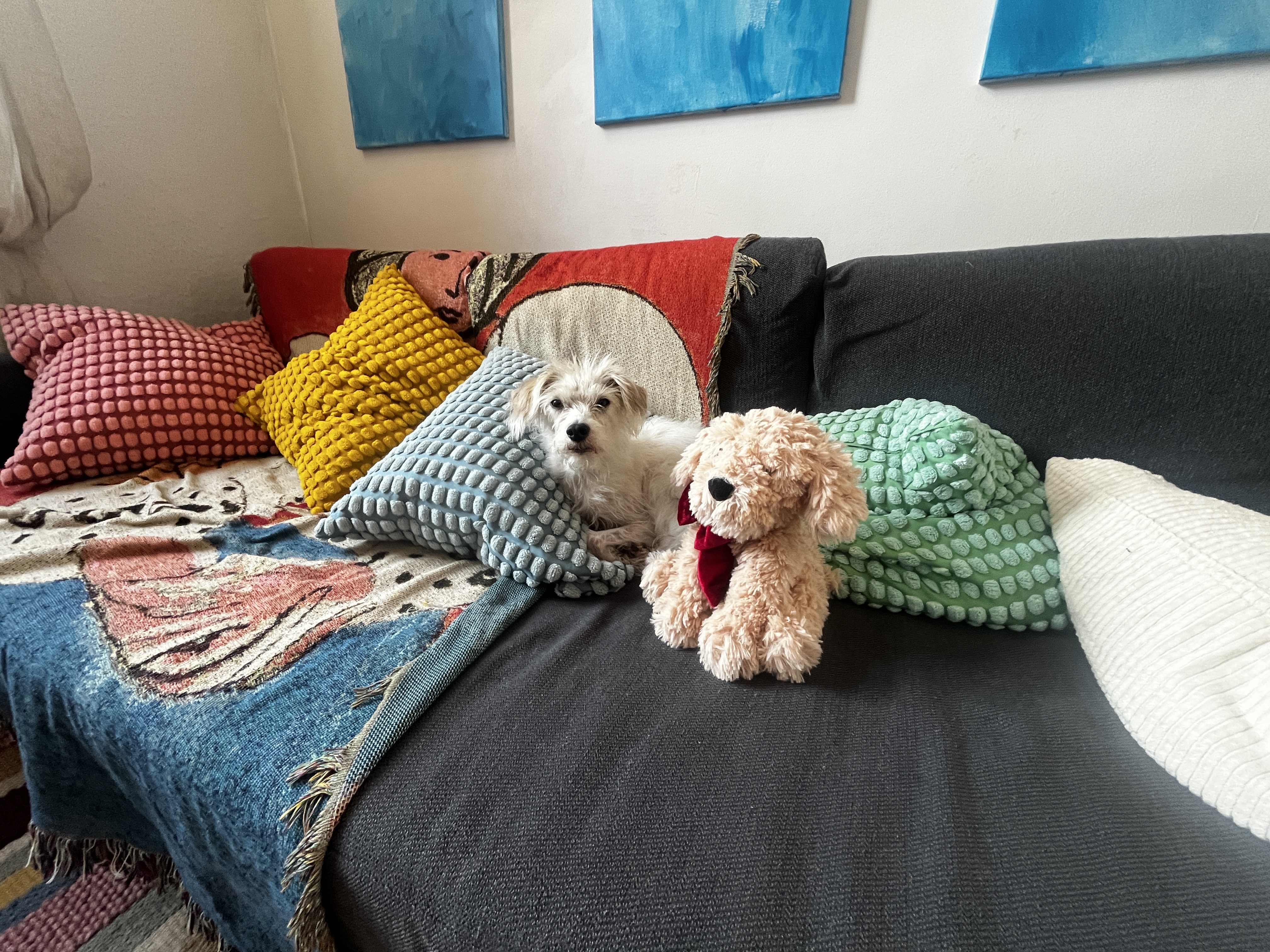 image-9