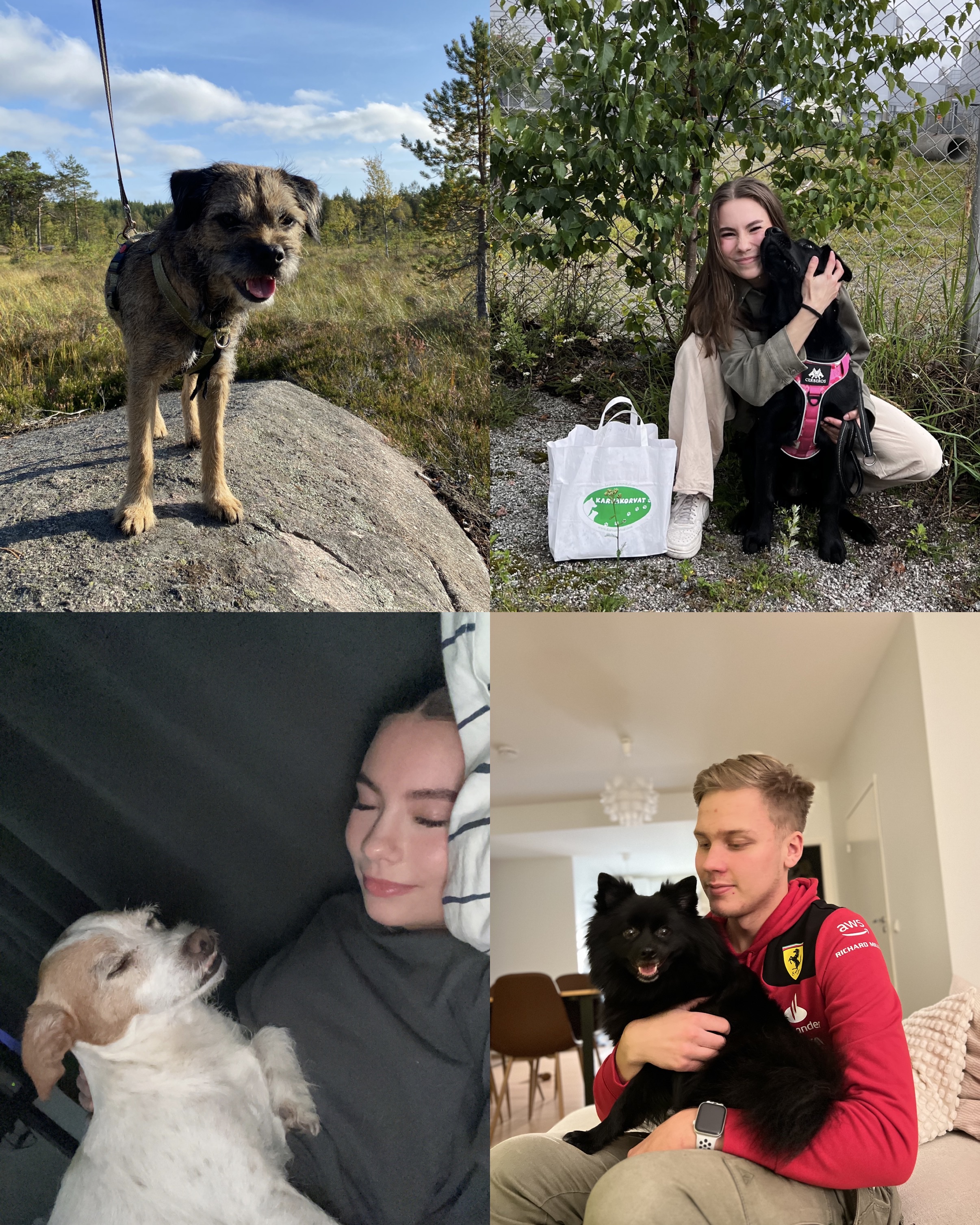 image-10