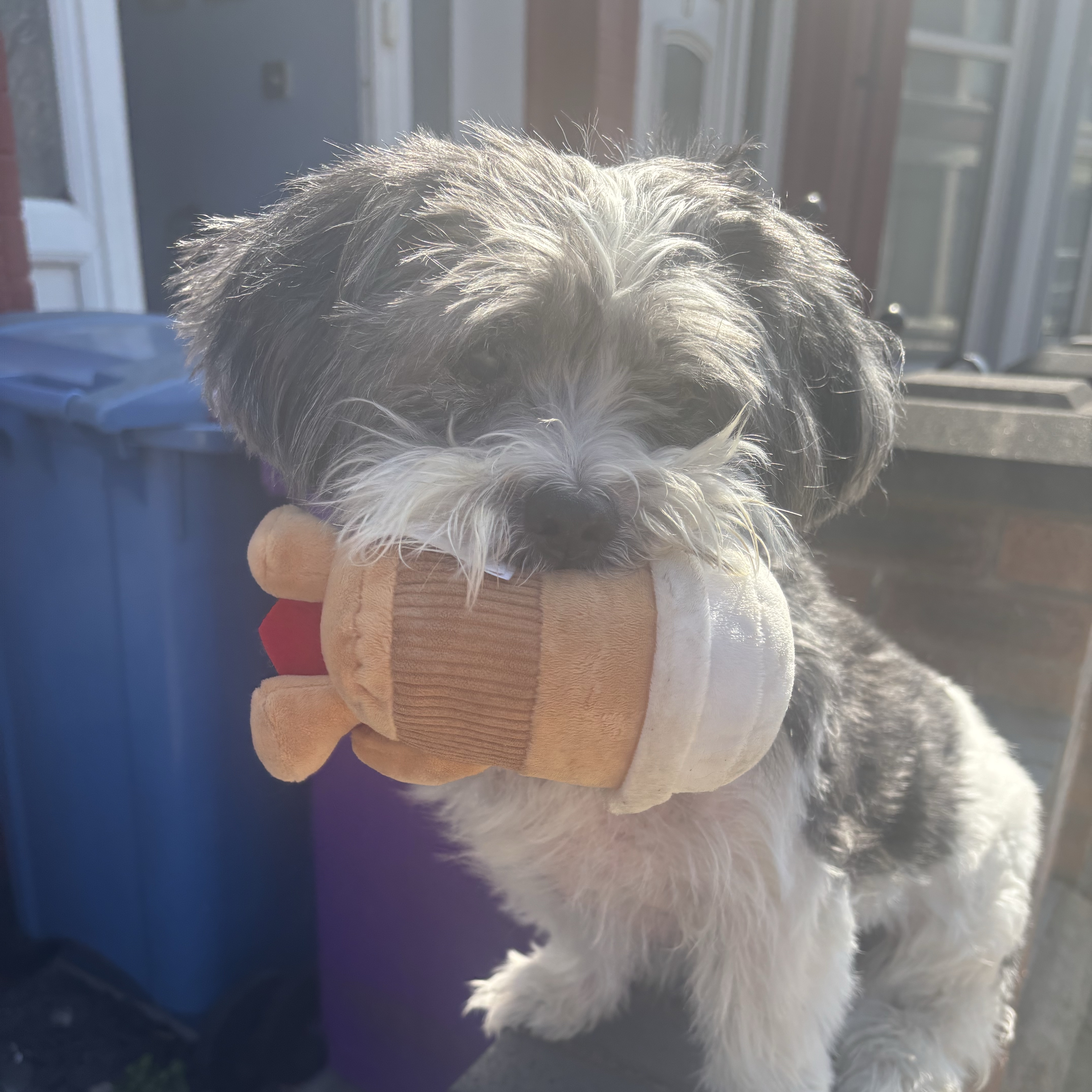 Alfie 