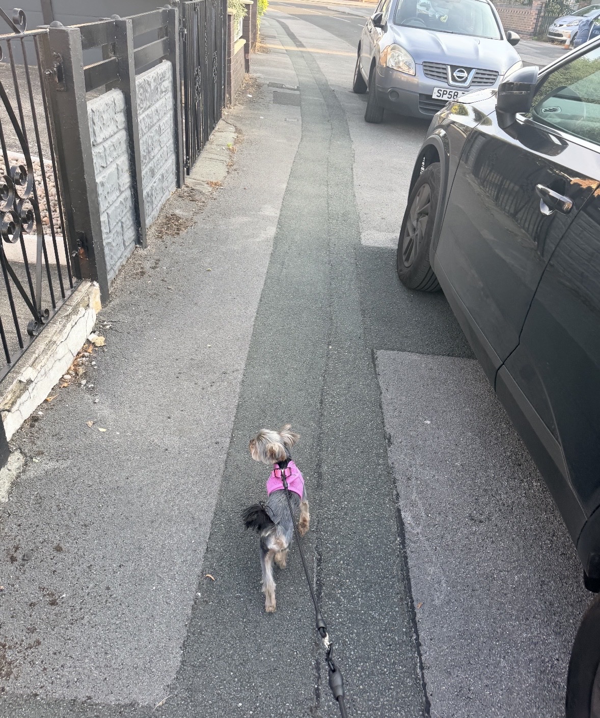 image-7