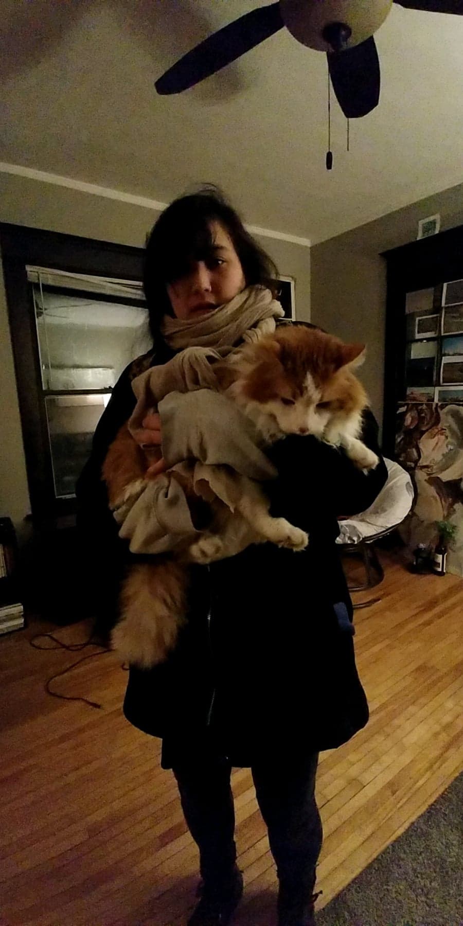 image-6
