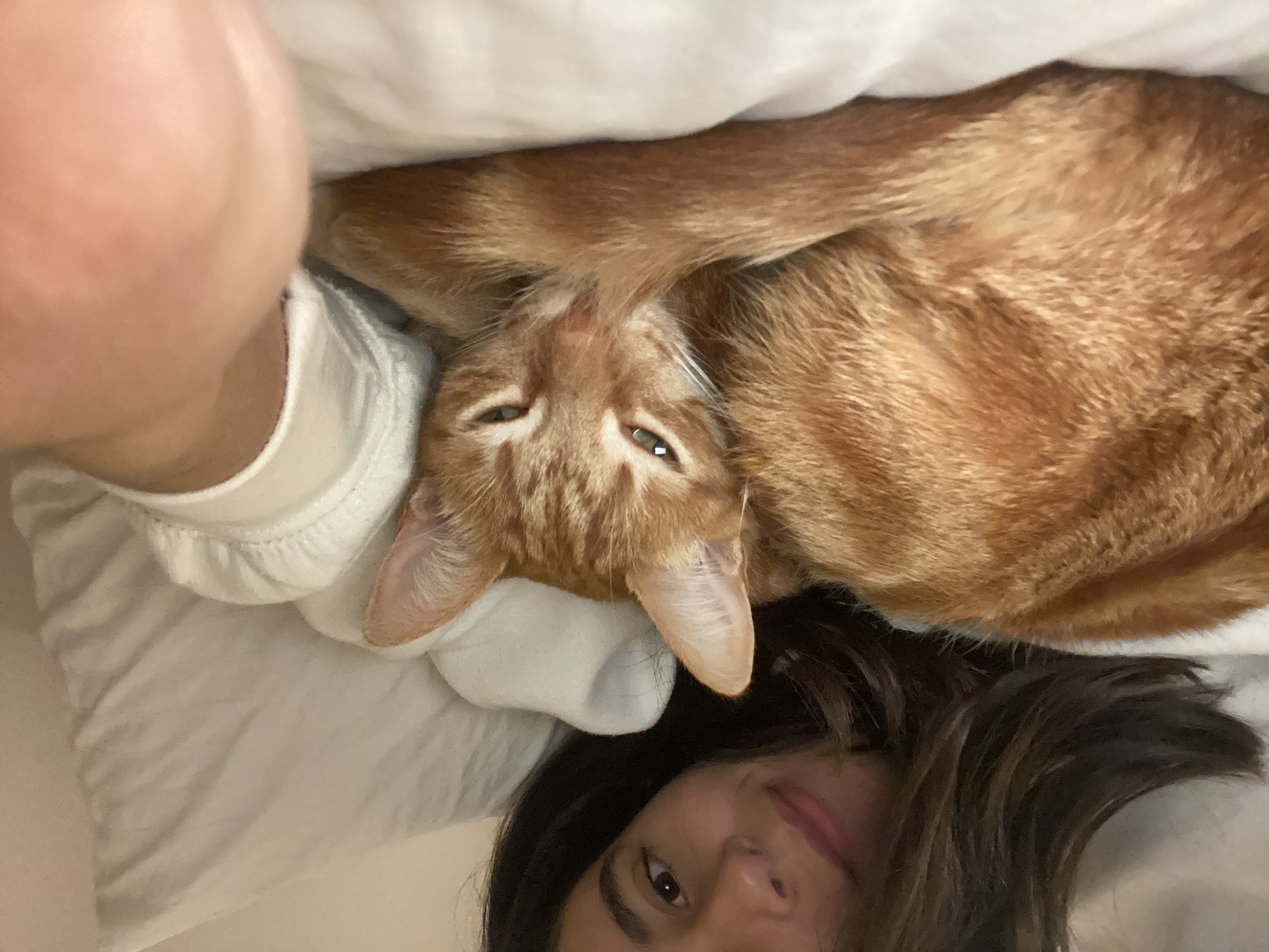 image-8