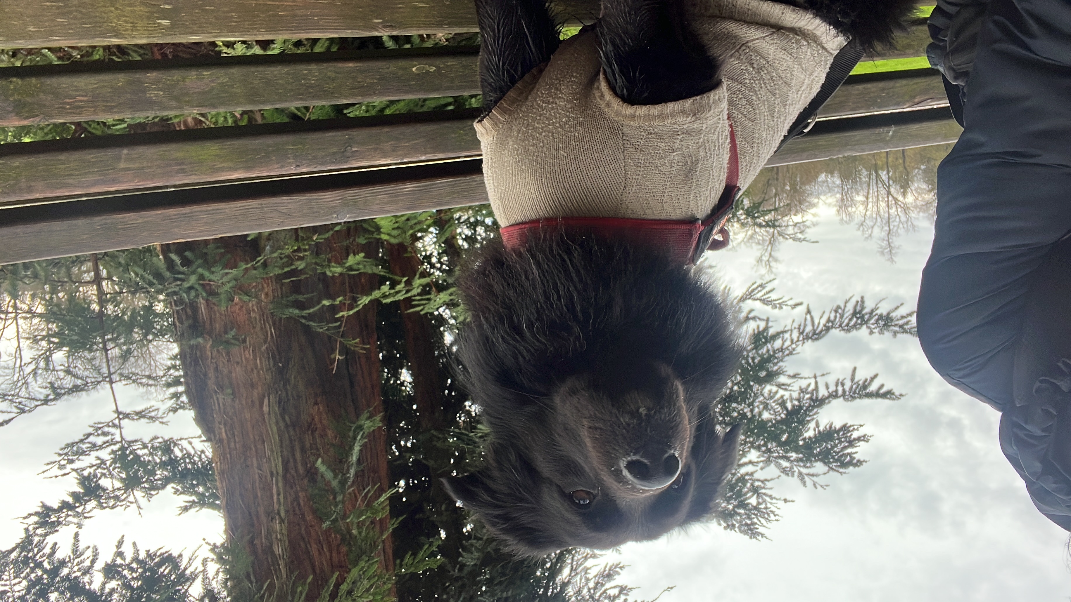 image-6