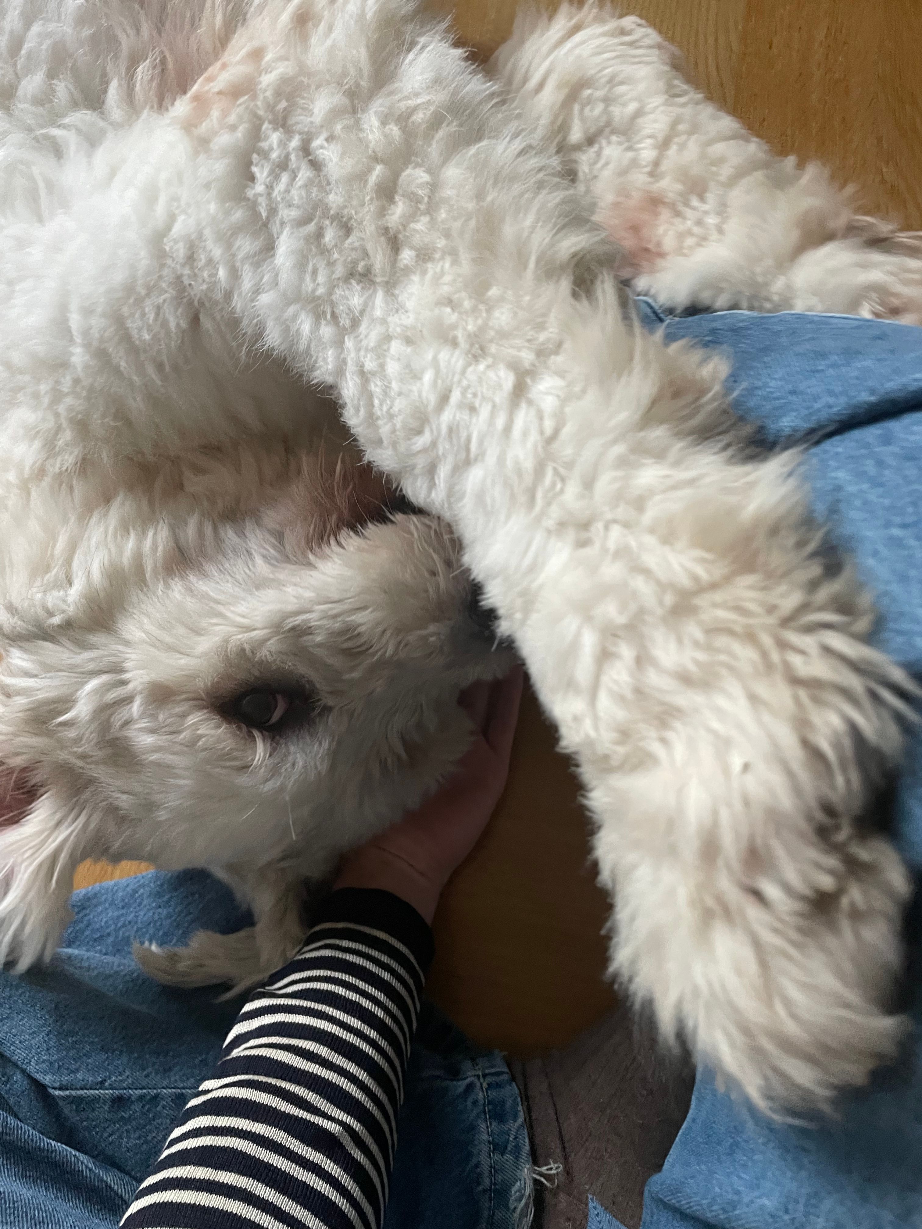 image-5