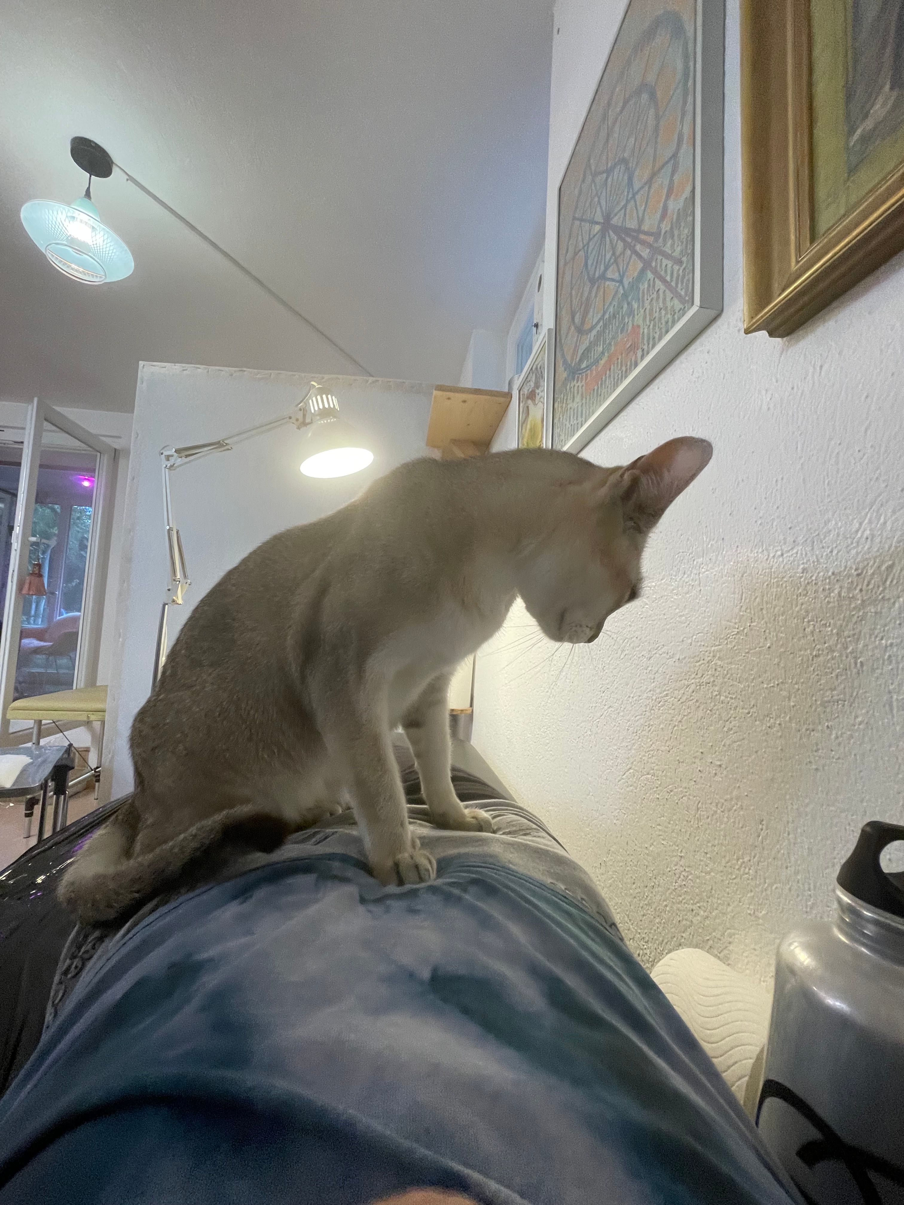 image-11