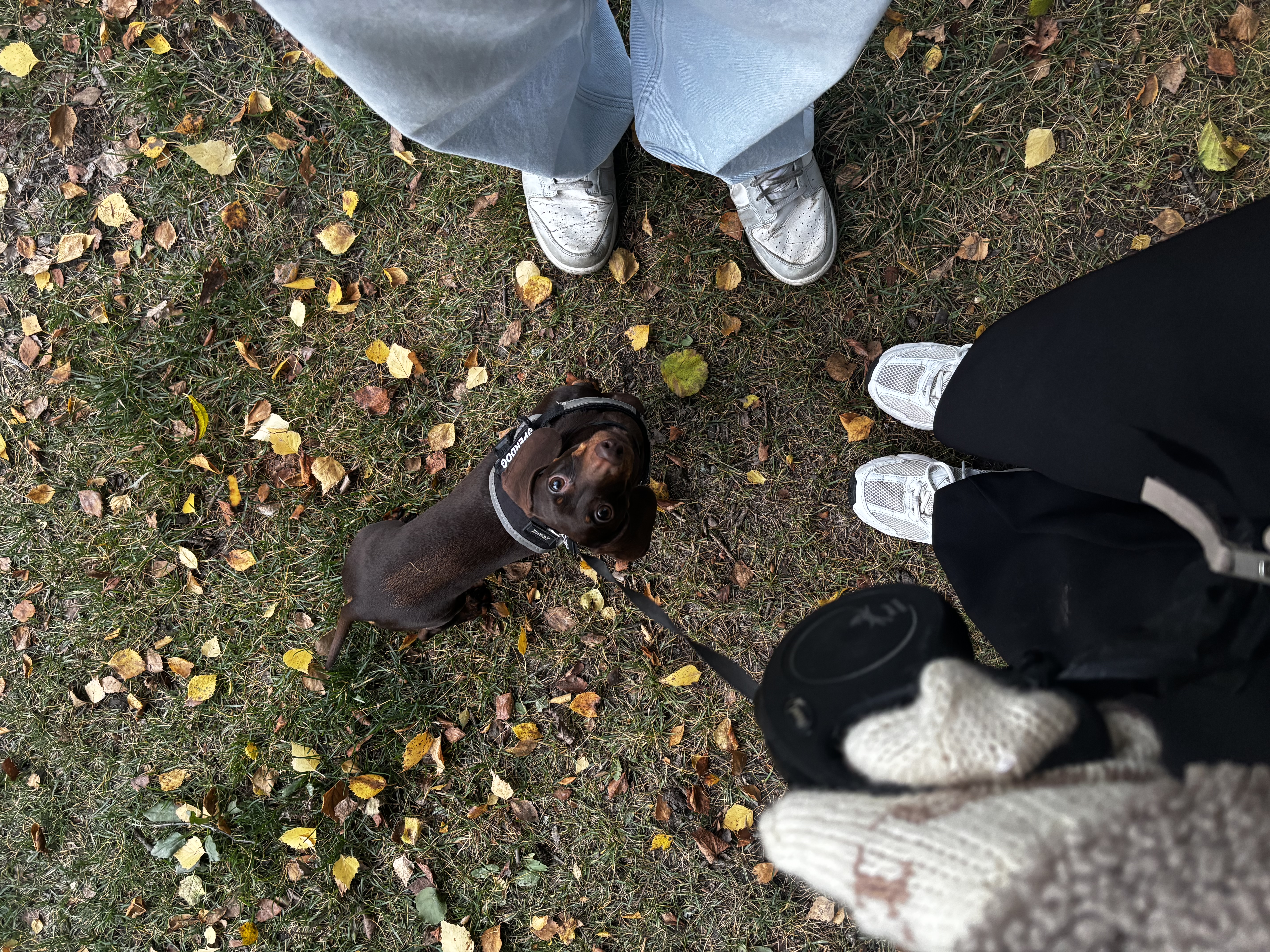 image-6