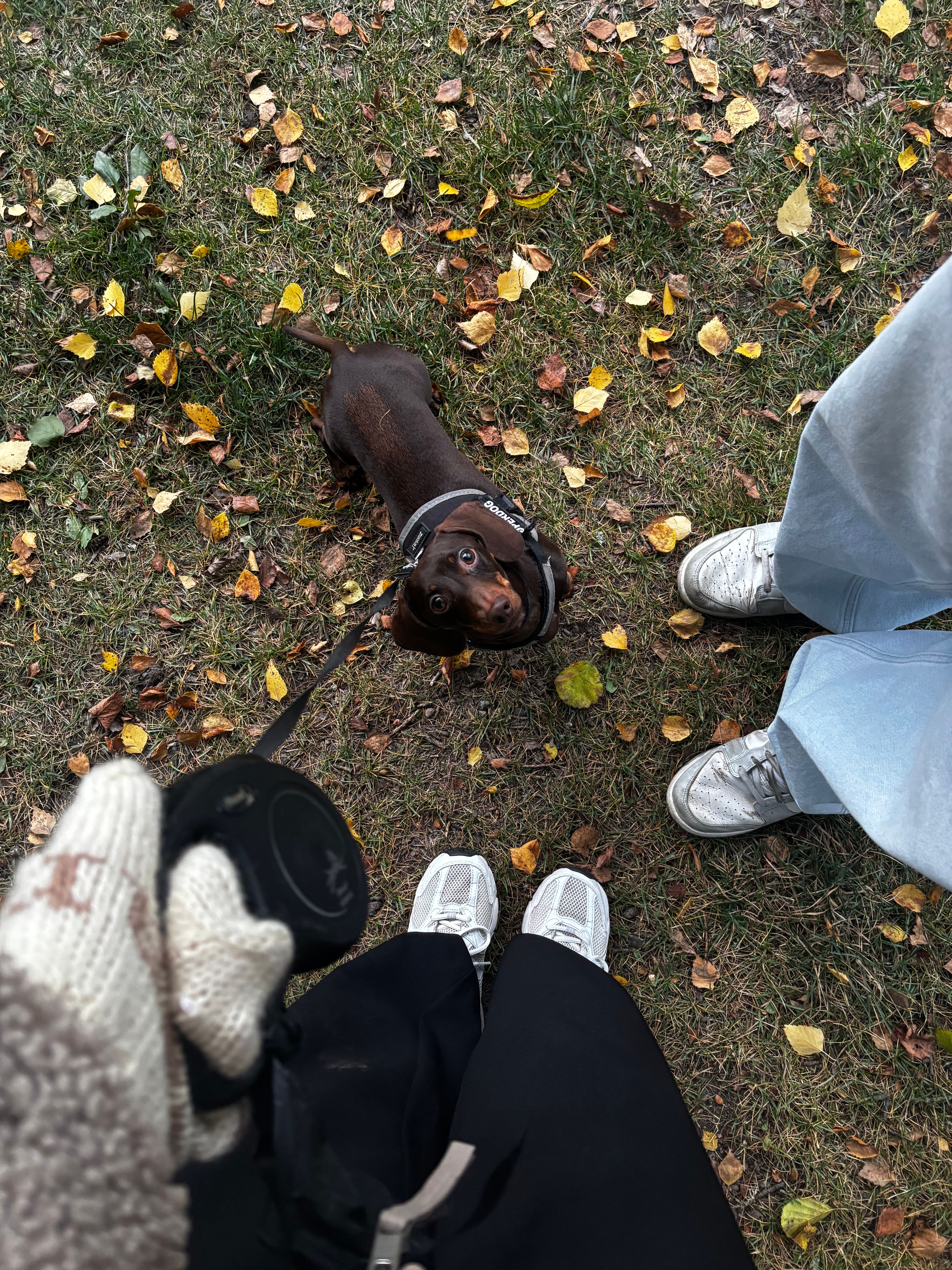 image-6