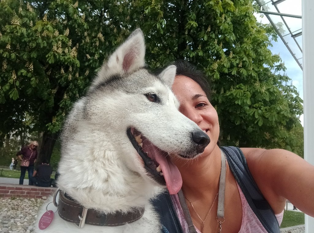 Jizva