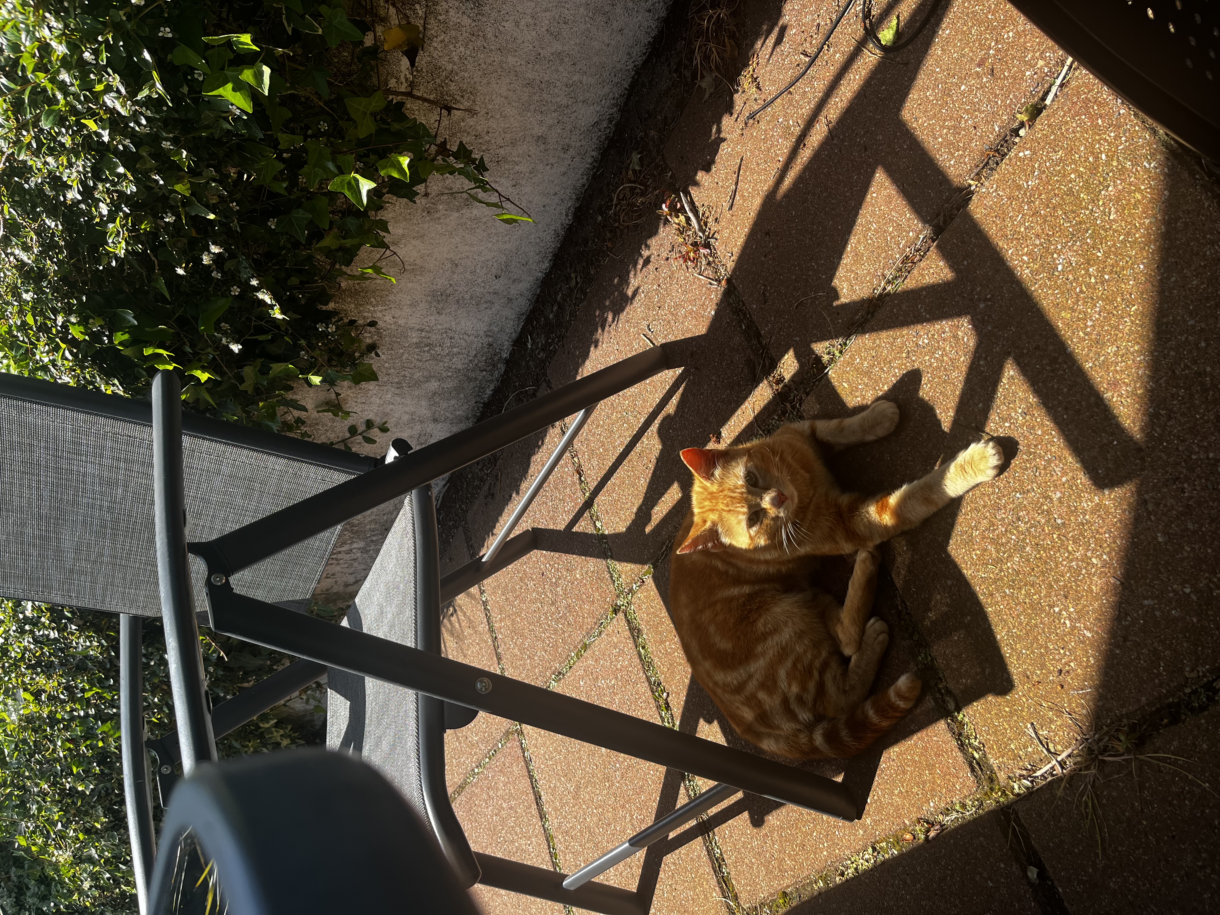 image-7